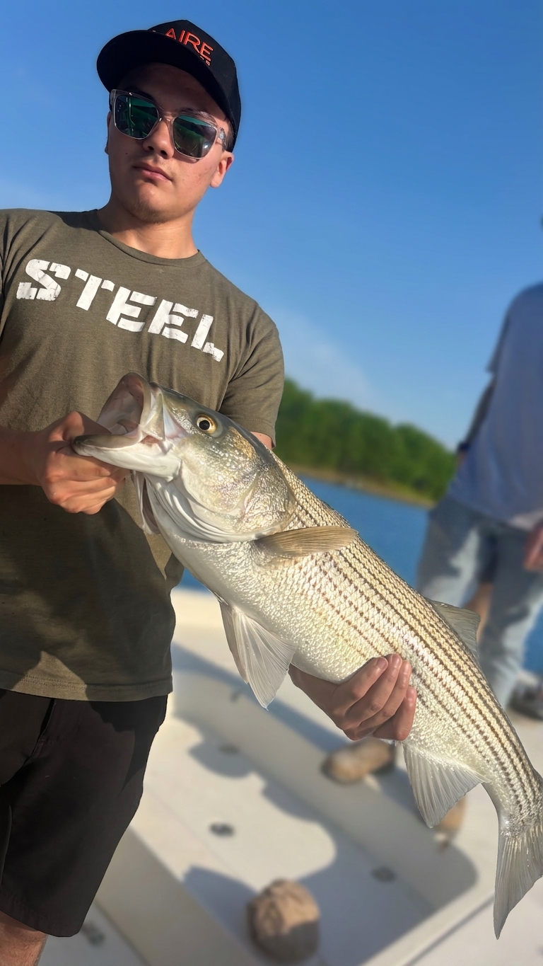 Striped Bass & Catfish Score Big Lake Lanier