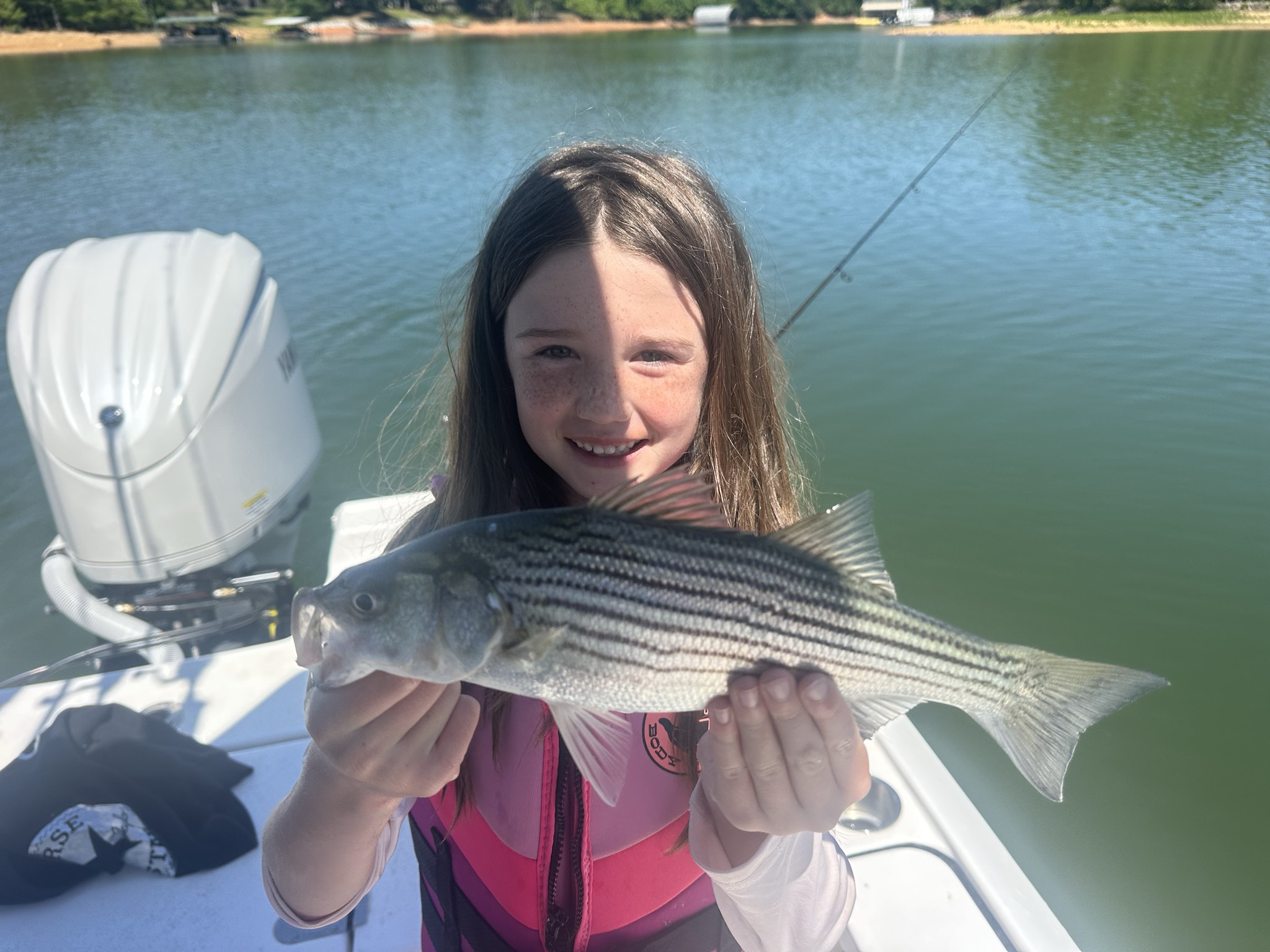 Striped Bass — May 2026