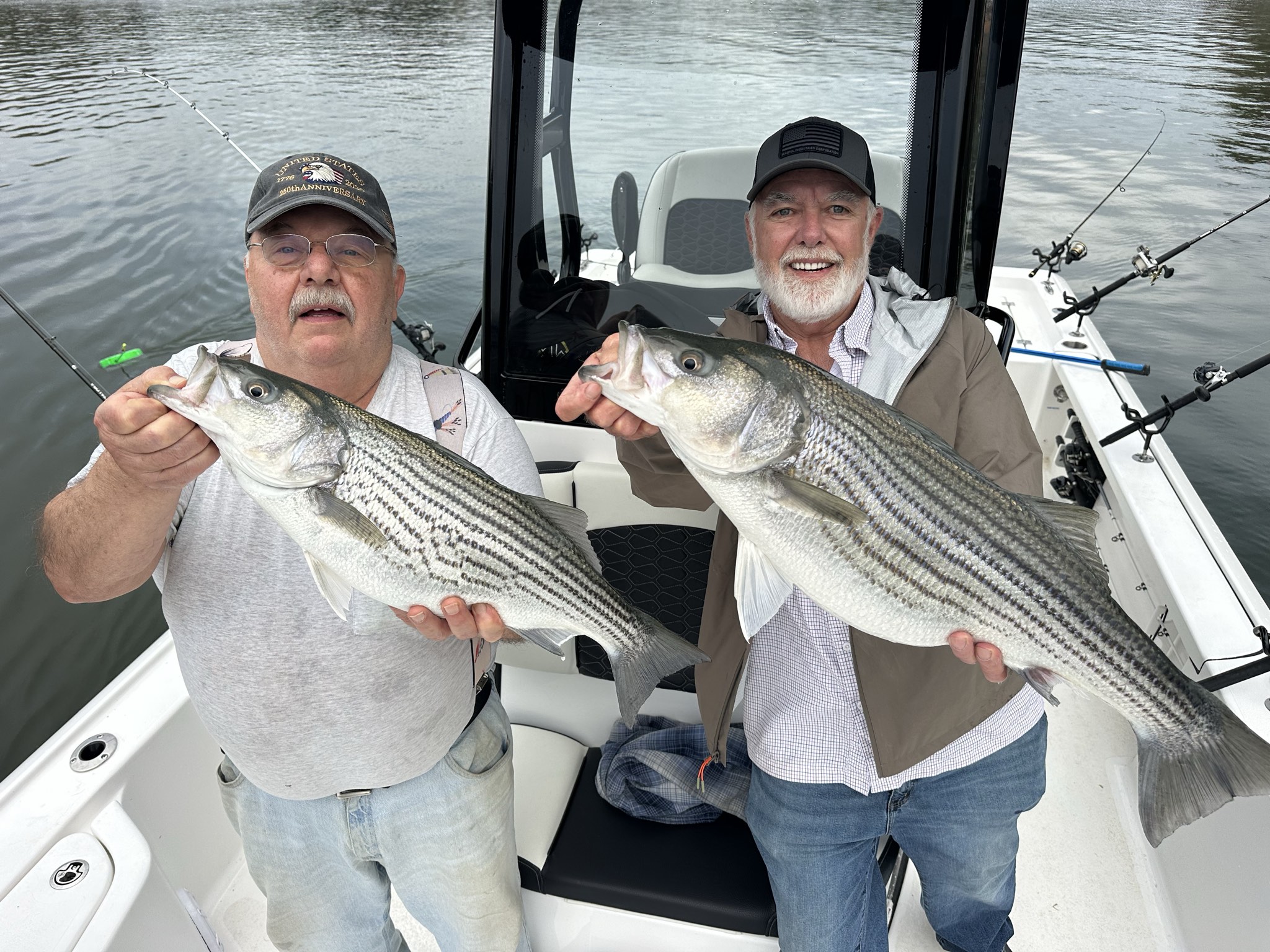 Striped Bass — April 2026