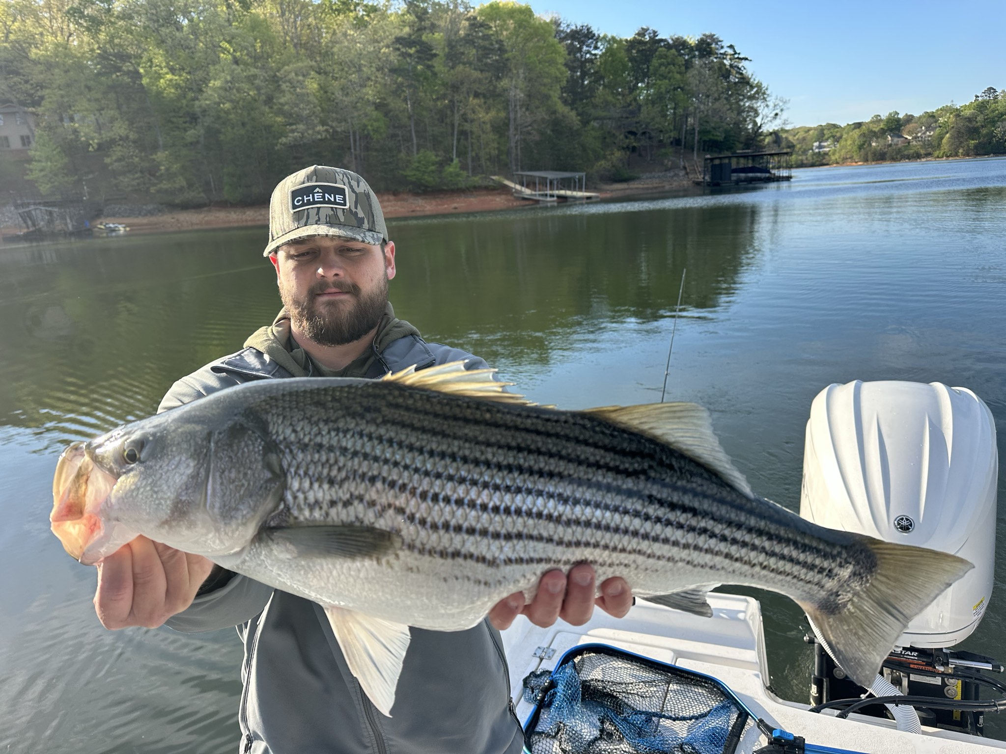 Striped And Spotted Bass Lake Lanier April