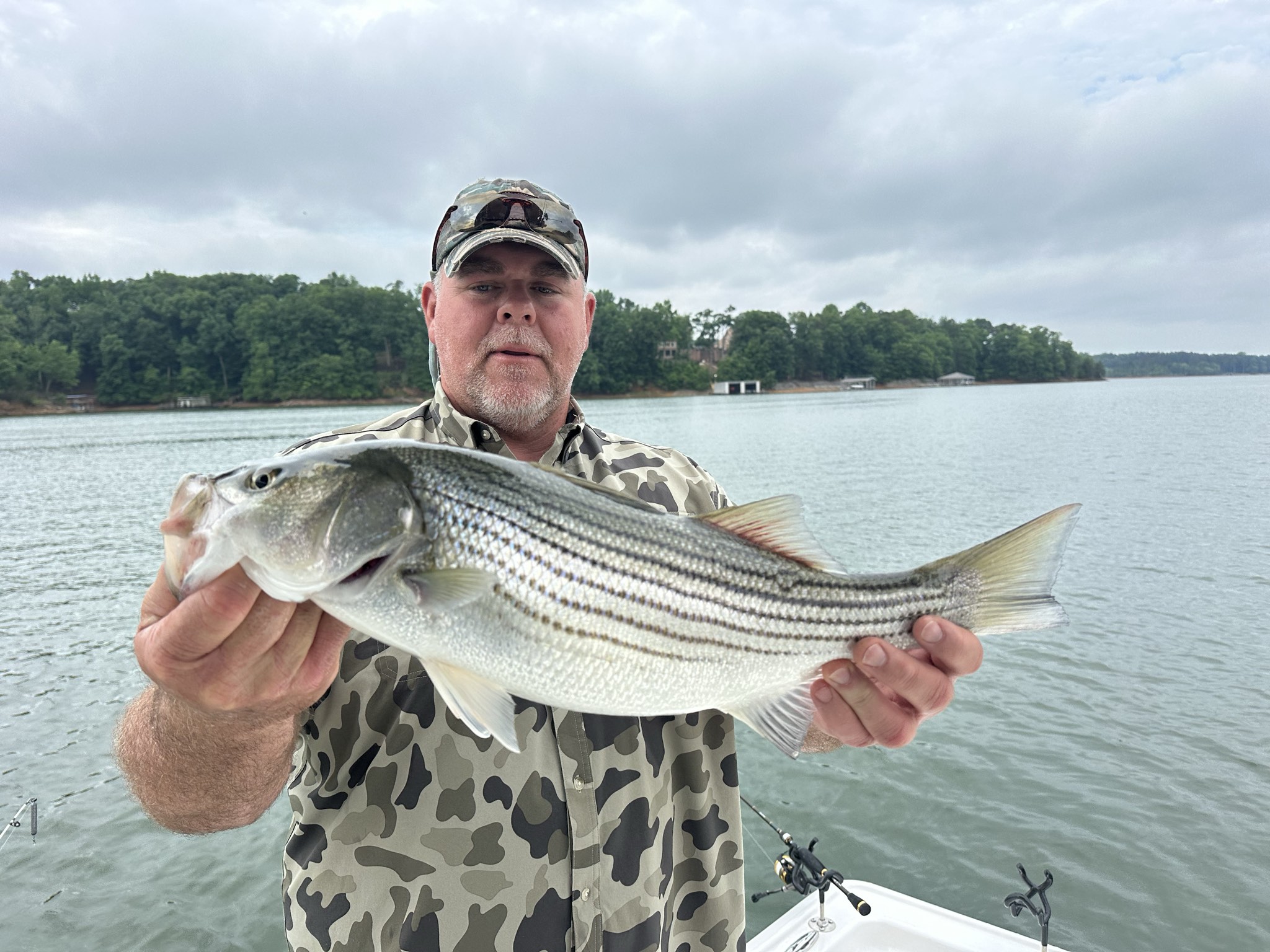 May Stripers, Spots, And Catfish On Lake Lanier
