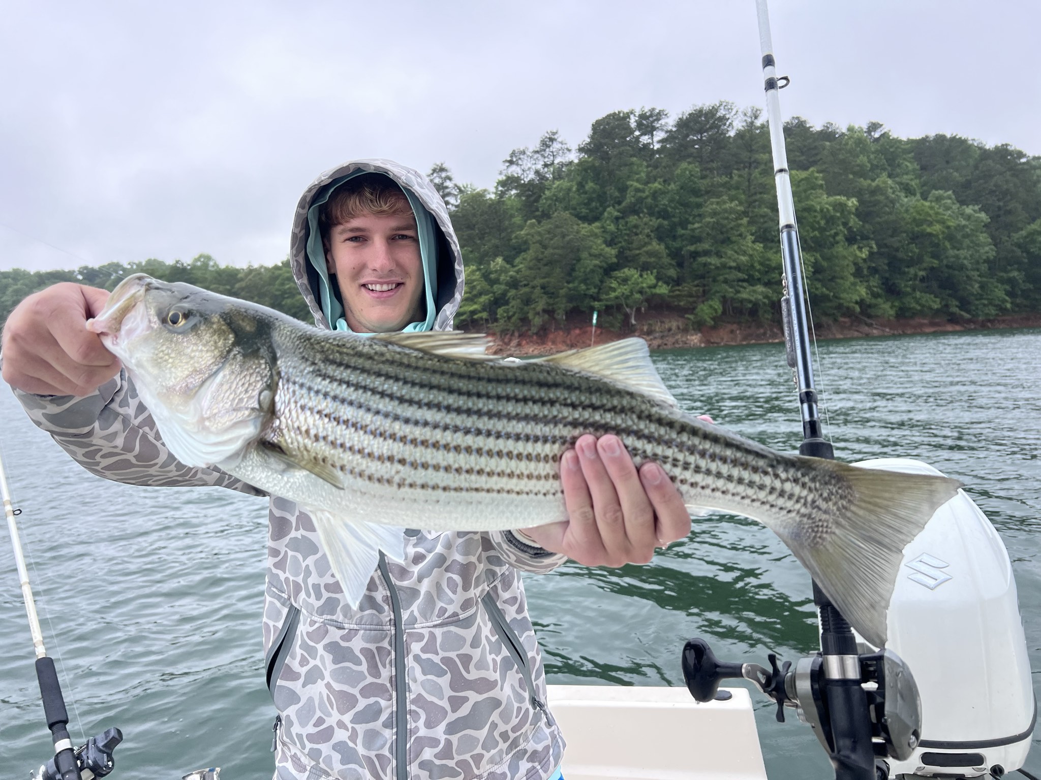 May Striped Bass And Spotted Bass Lake Lanier