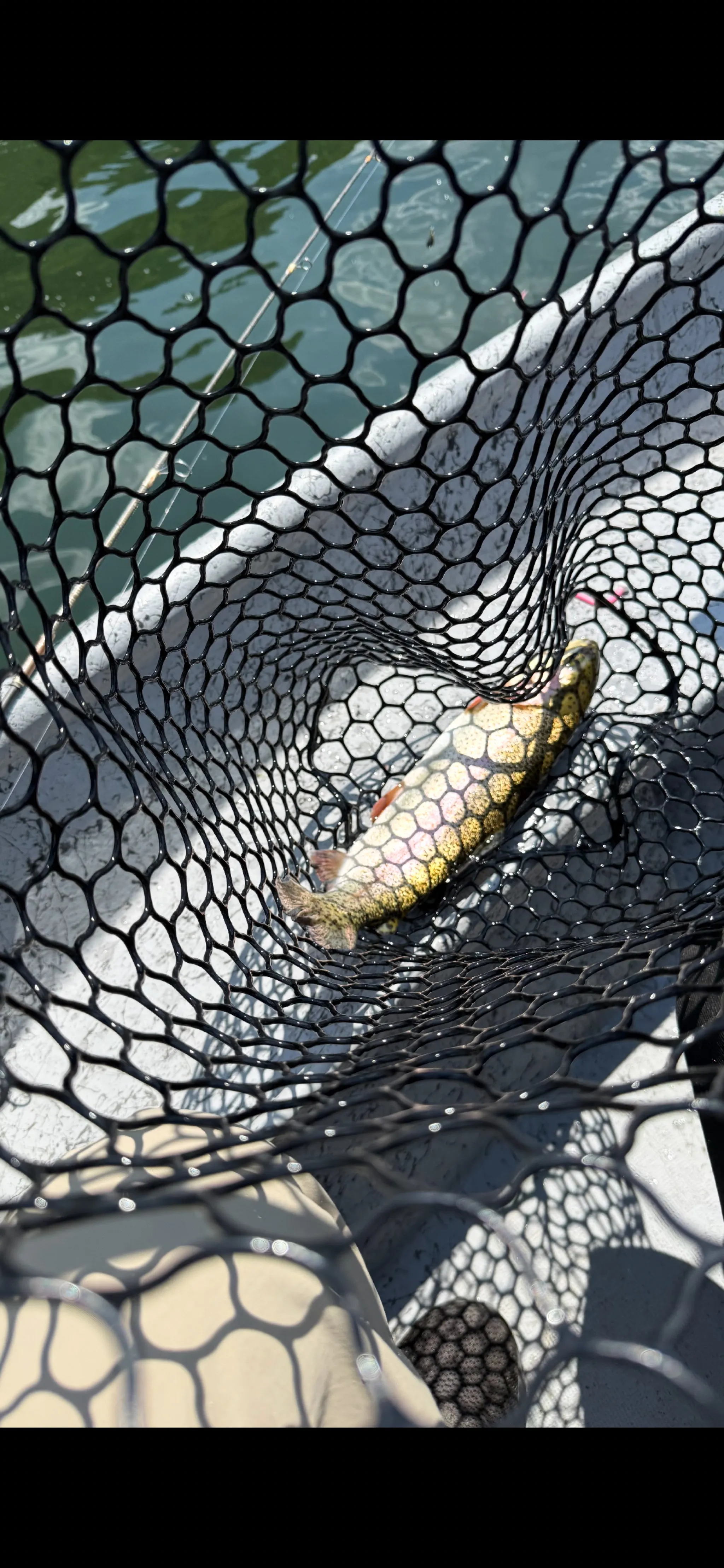 Photo from White River Fishing Charters