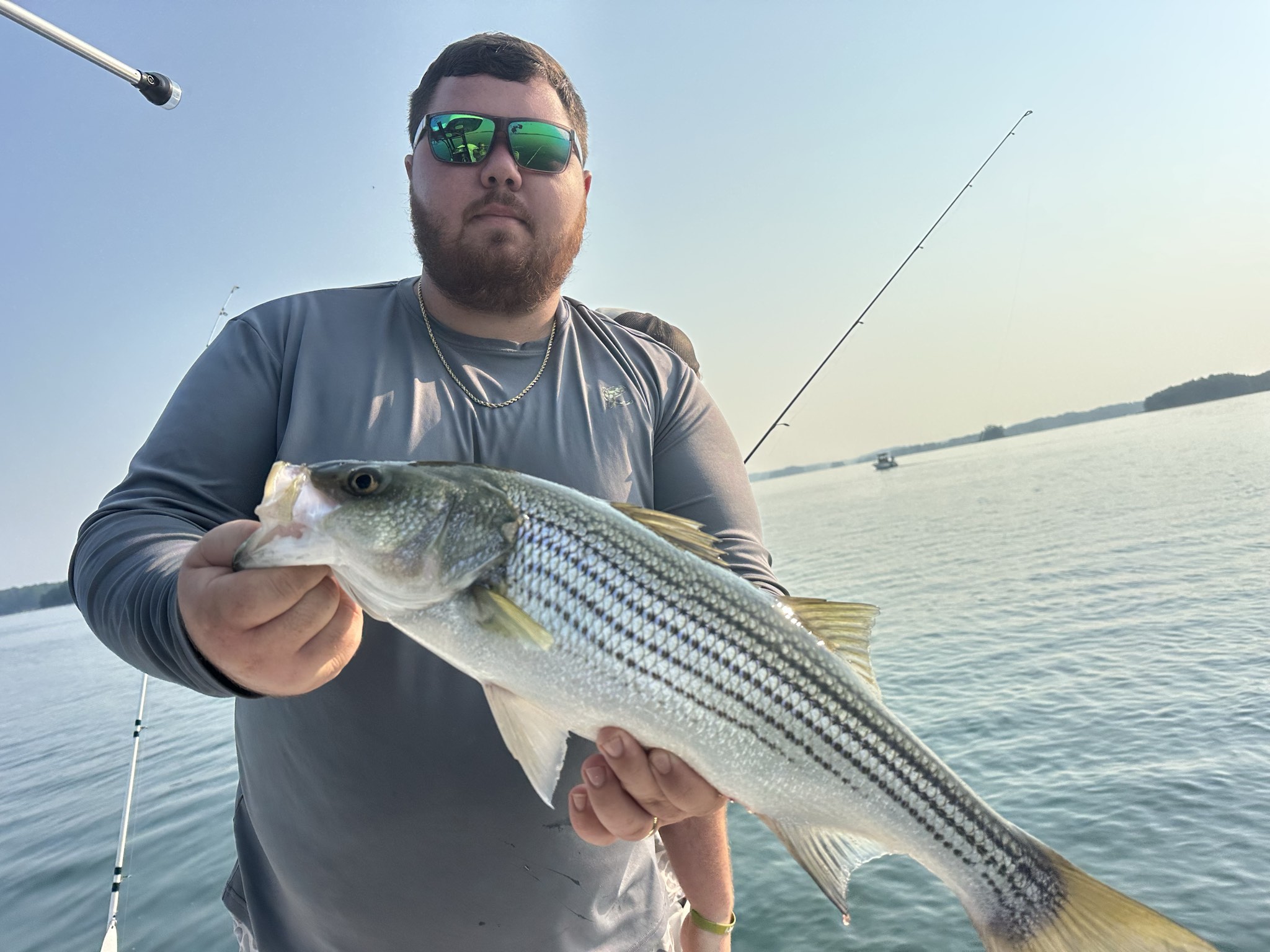 Striped And Spotted Bass Lake Lanier July