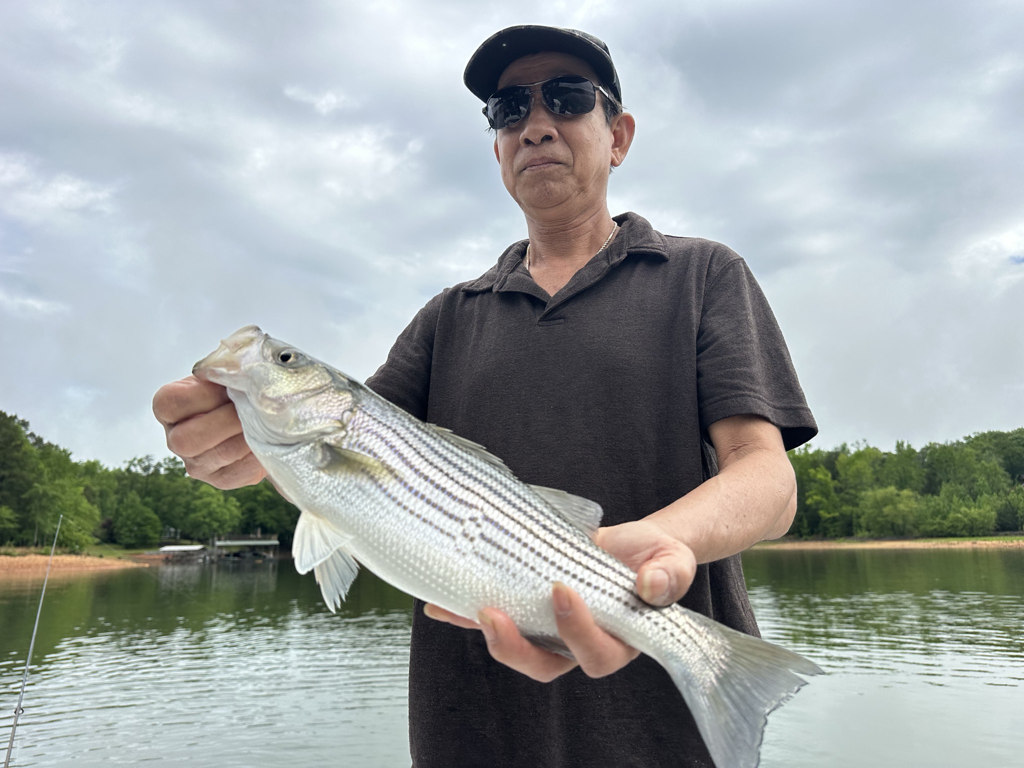 Lake Lanier May Striped Bass Success