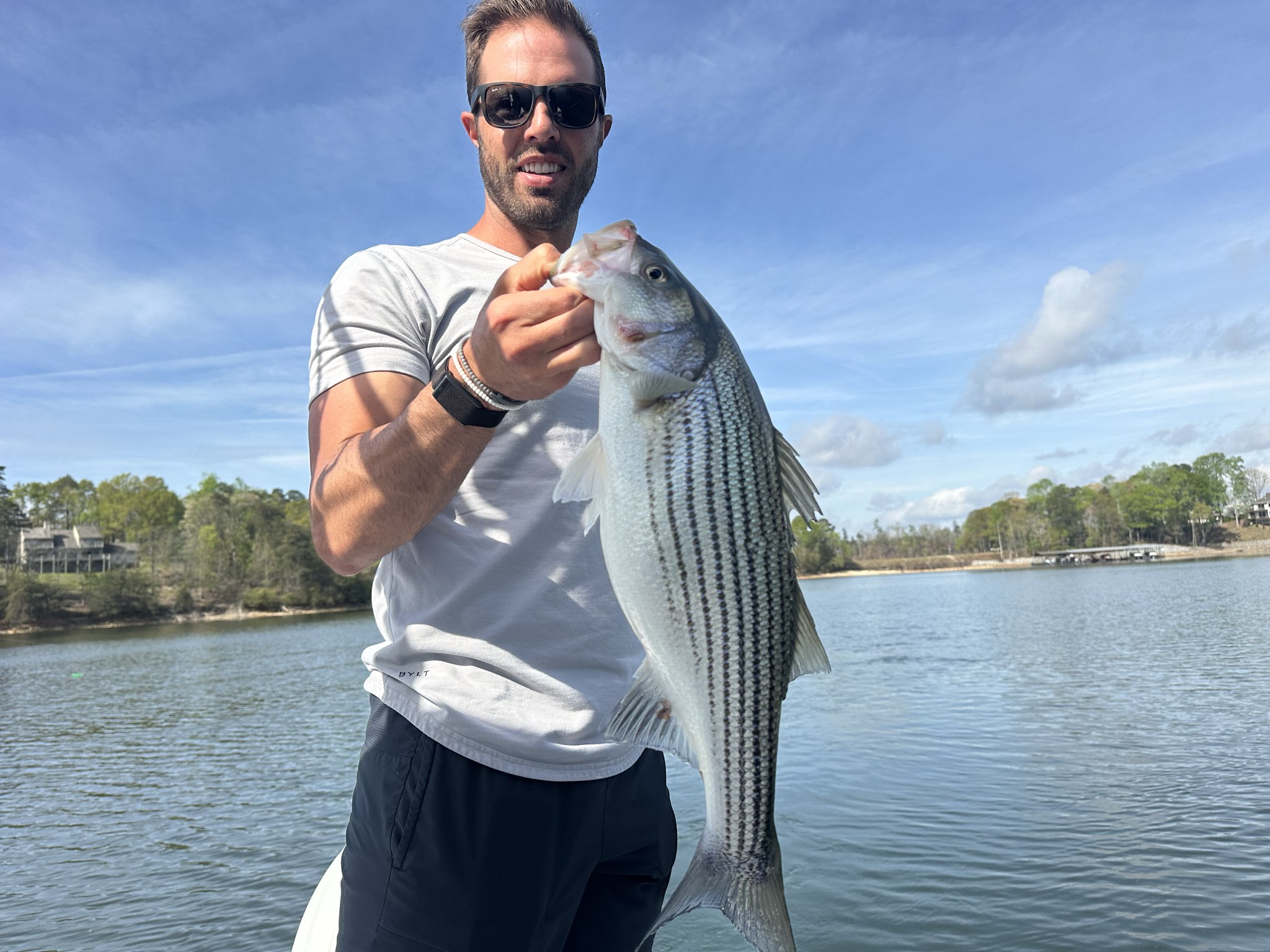 Striped Bass — April 2026