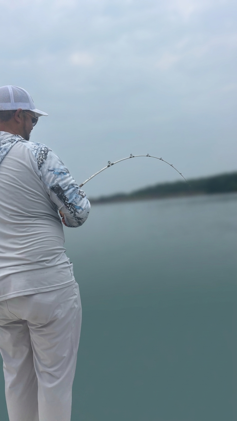 Striped And Spotted Bass On Lake Lanier