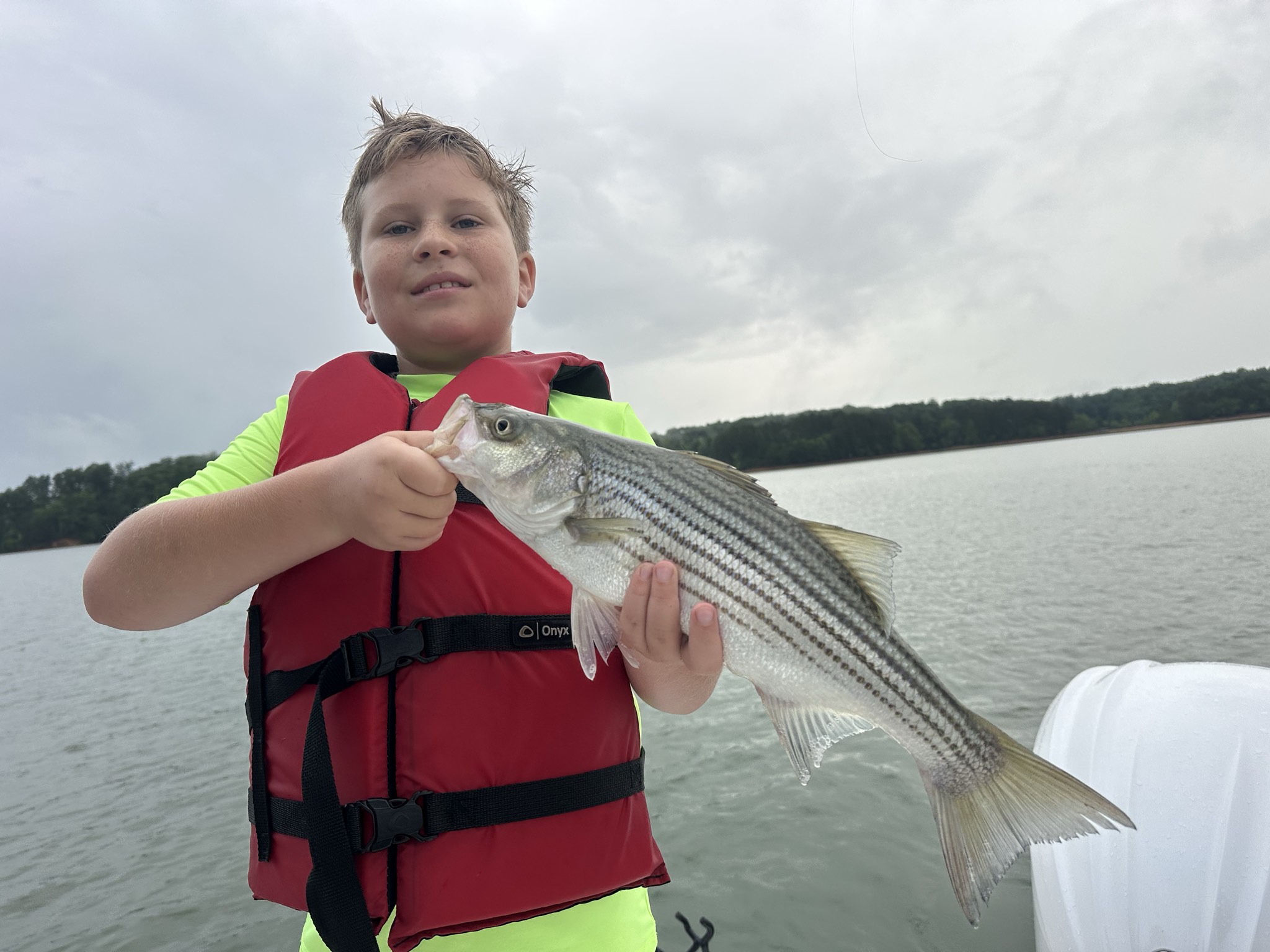 Striped Bass — June 2026