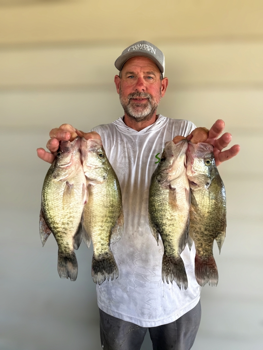 4 white crappie caught on Lake Bridgeport, Aug 6, 2026