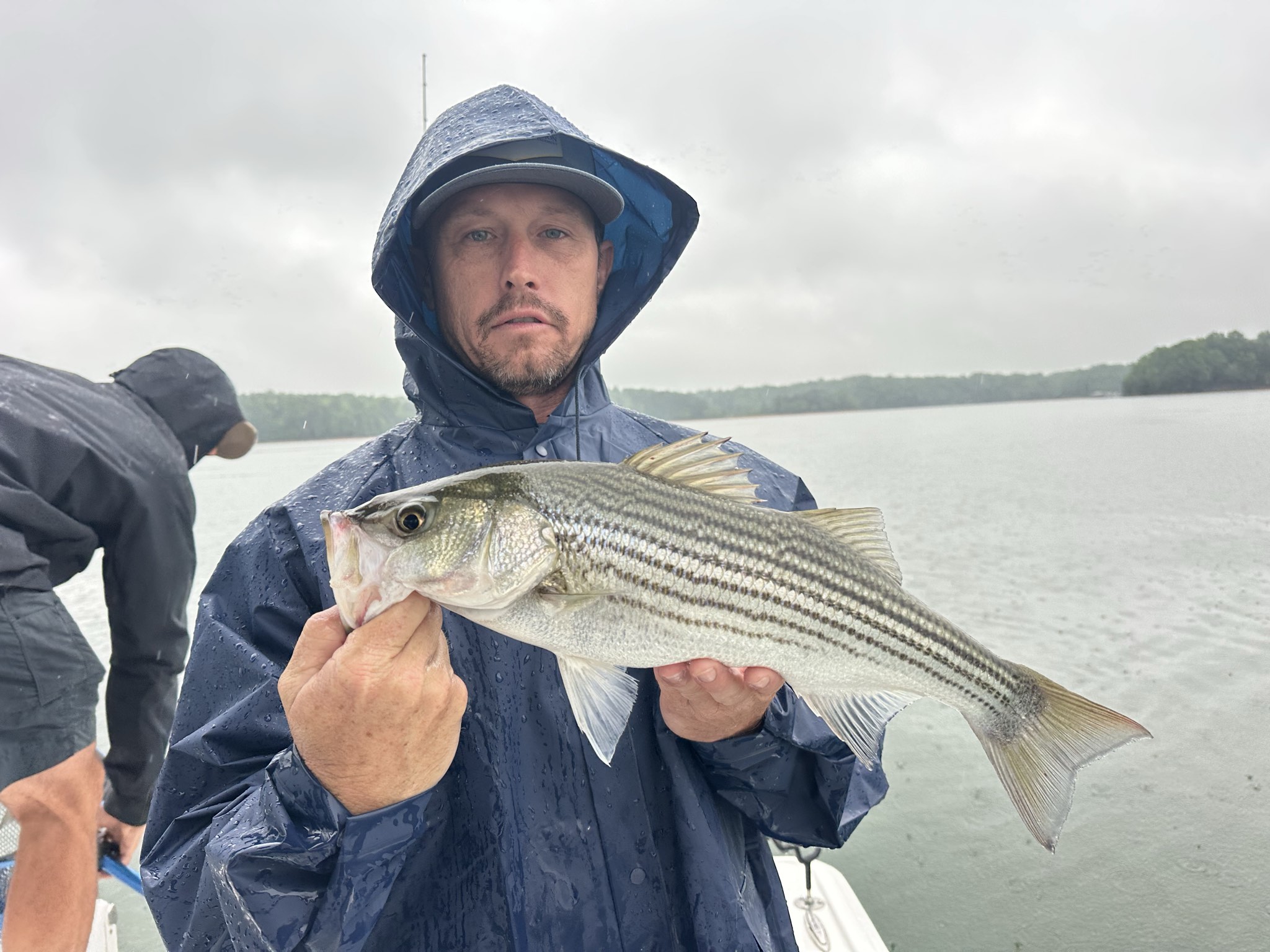 Striped Bass — May 2026