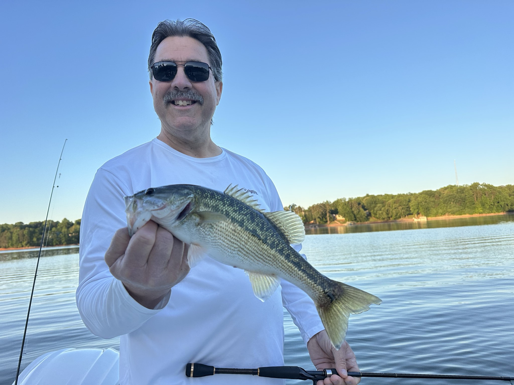Striped Bass — May 2026