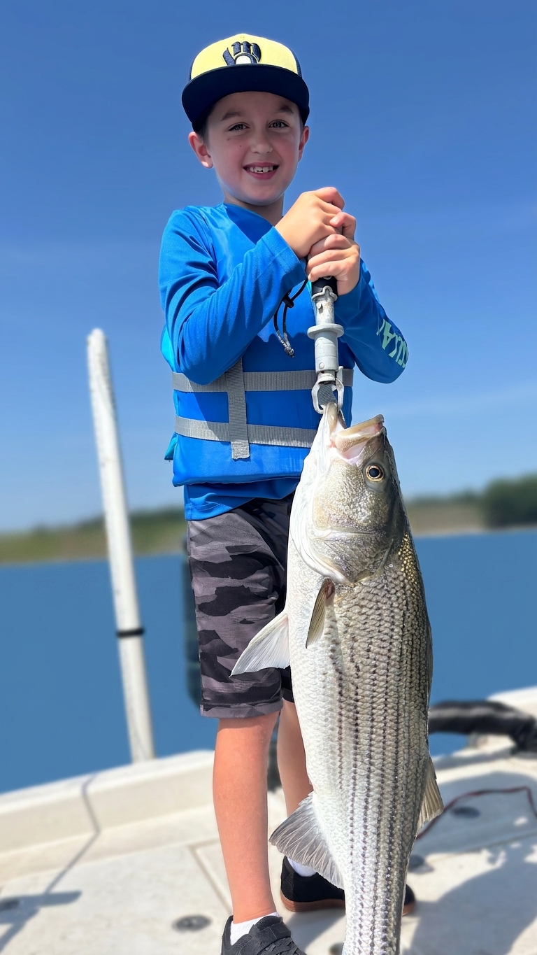 Sunset Bass Action On Lake Lanier