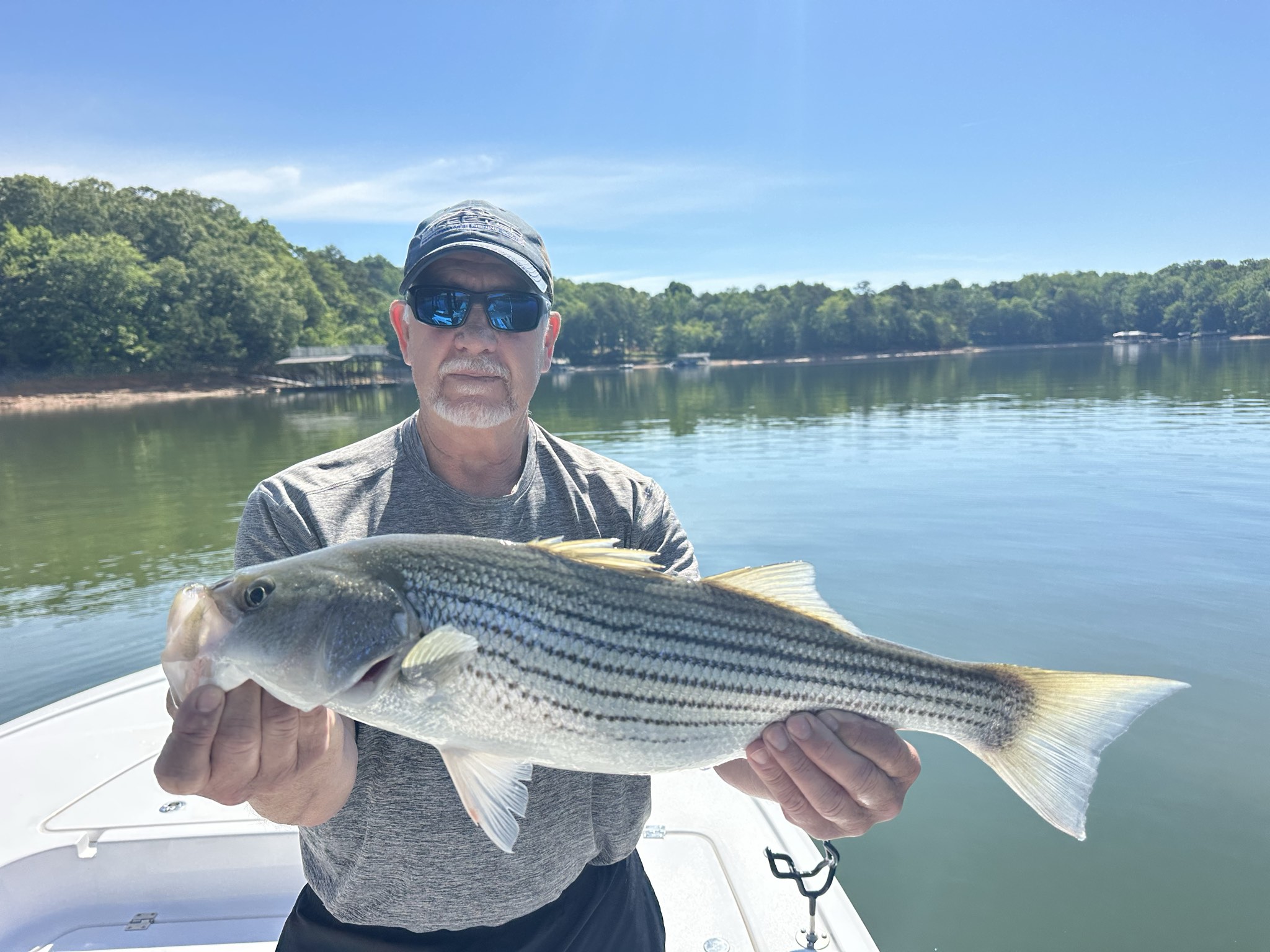 Five Friends Land 35 Fish at Lake Lanier