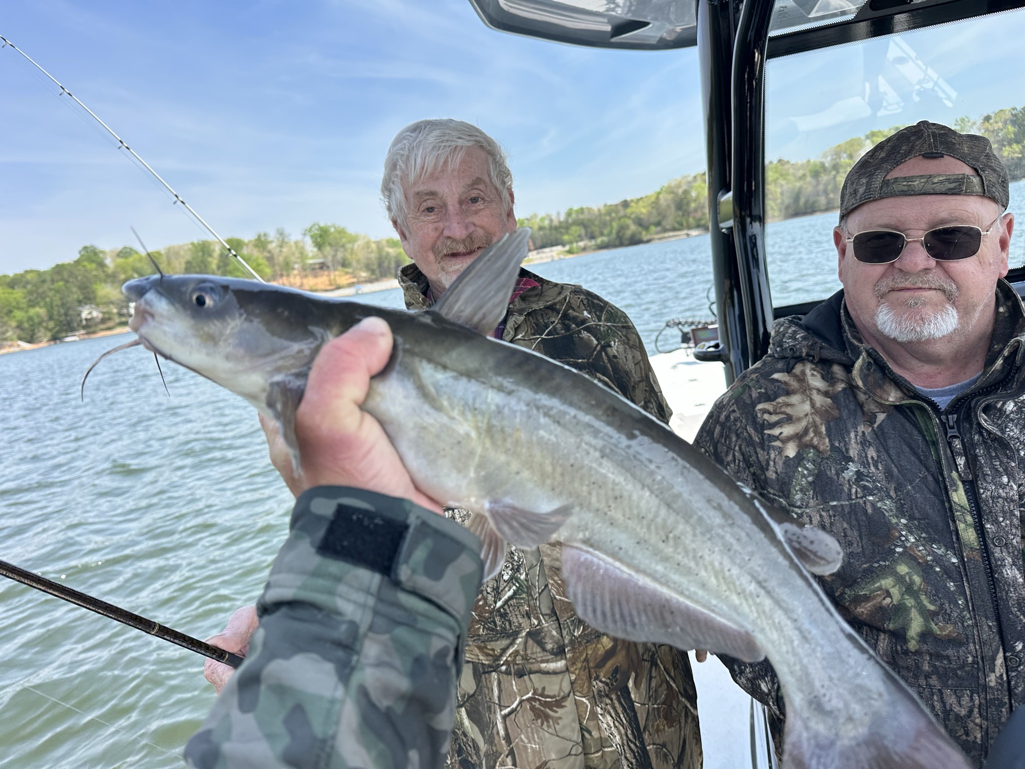Striped Bass — April 2026