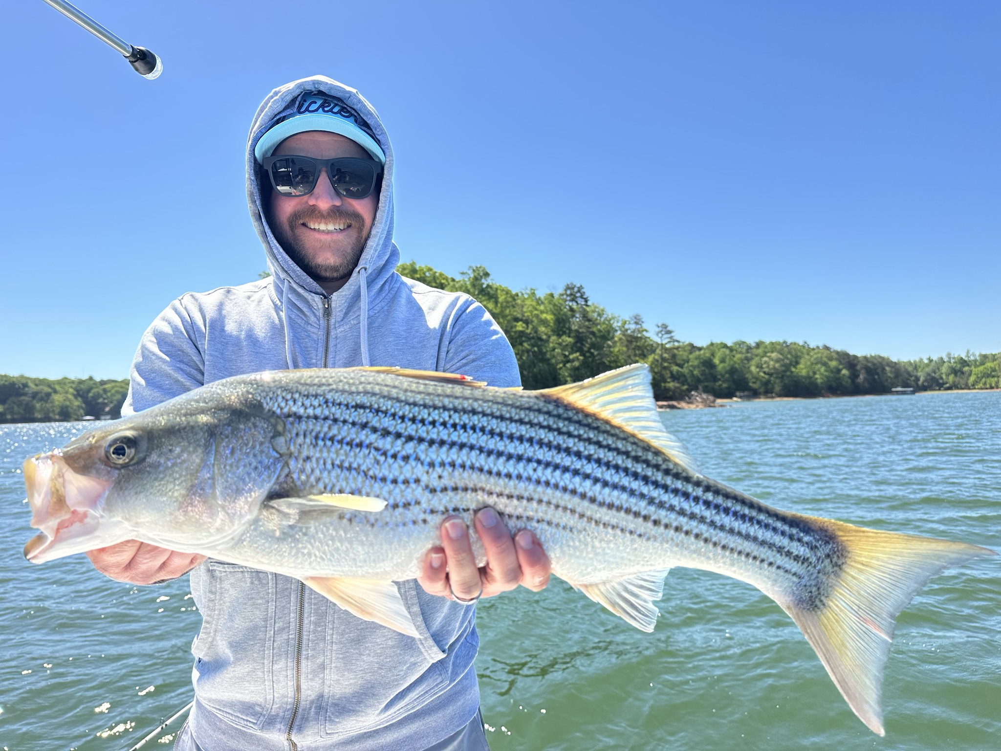 Striped Bass — May 2026