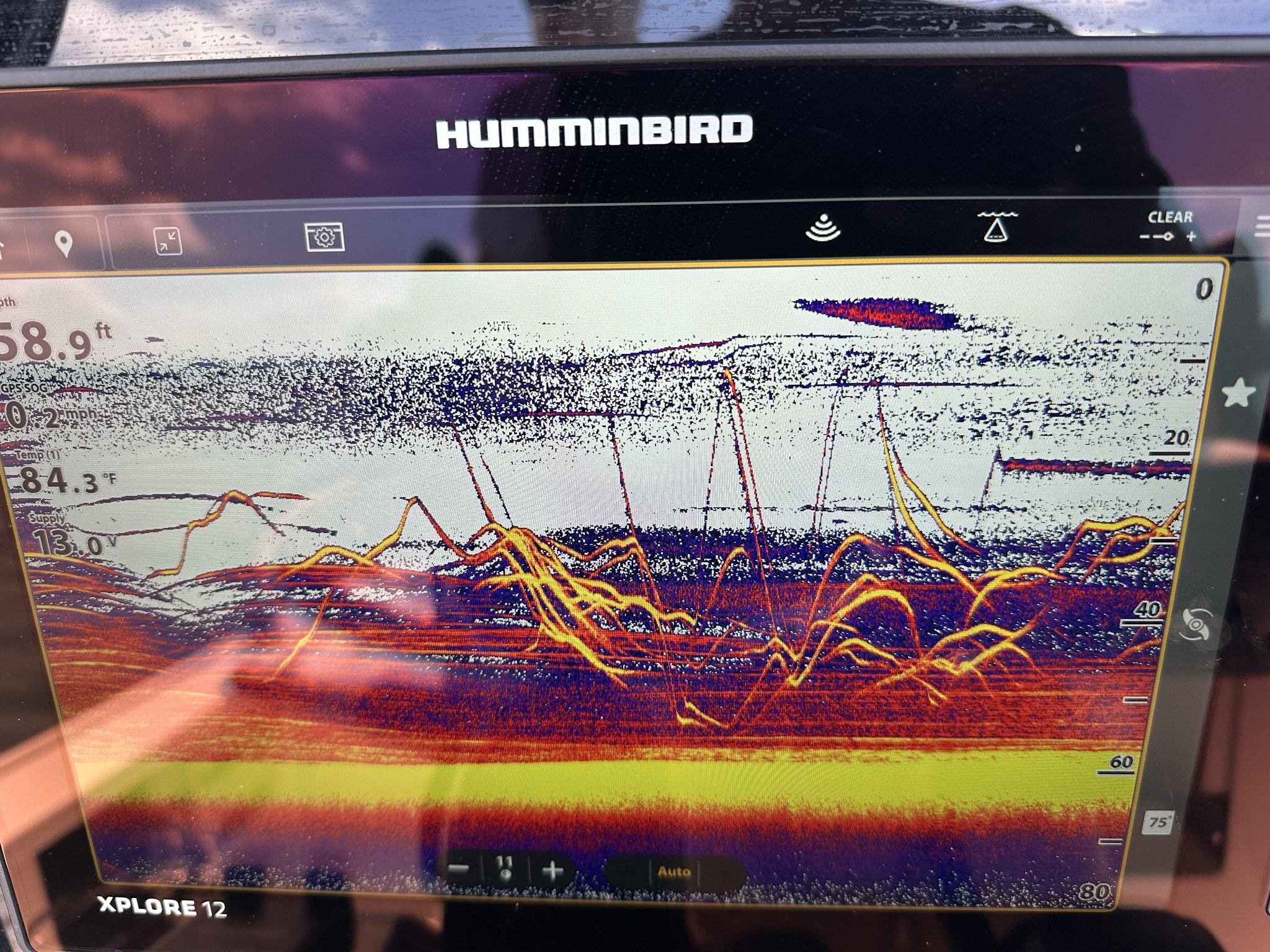 Striped Bass — June 2026