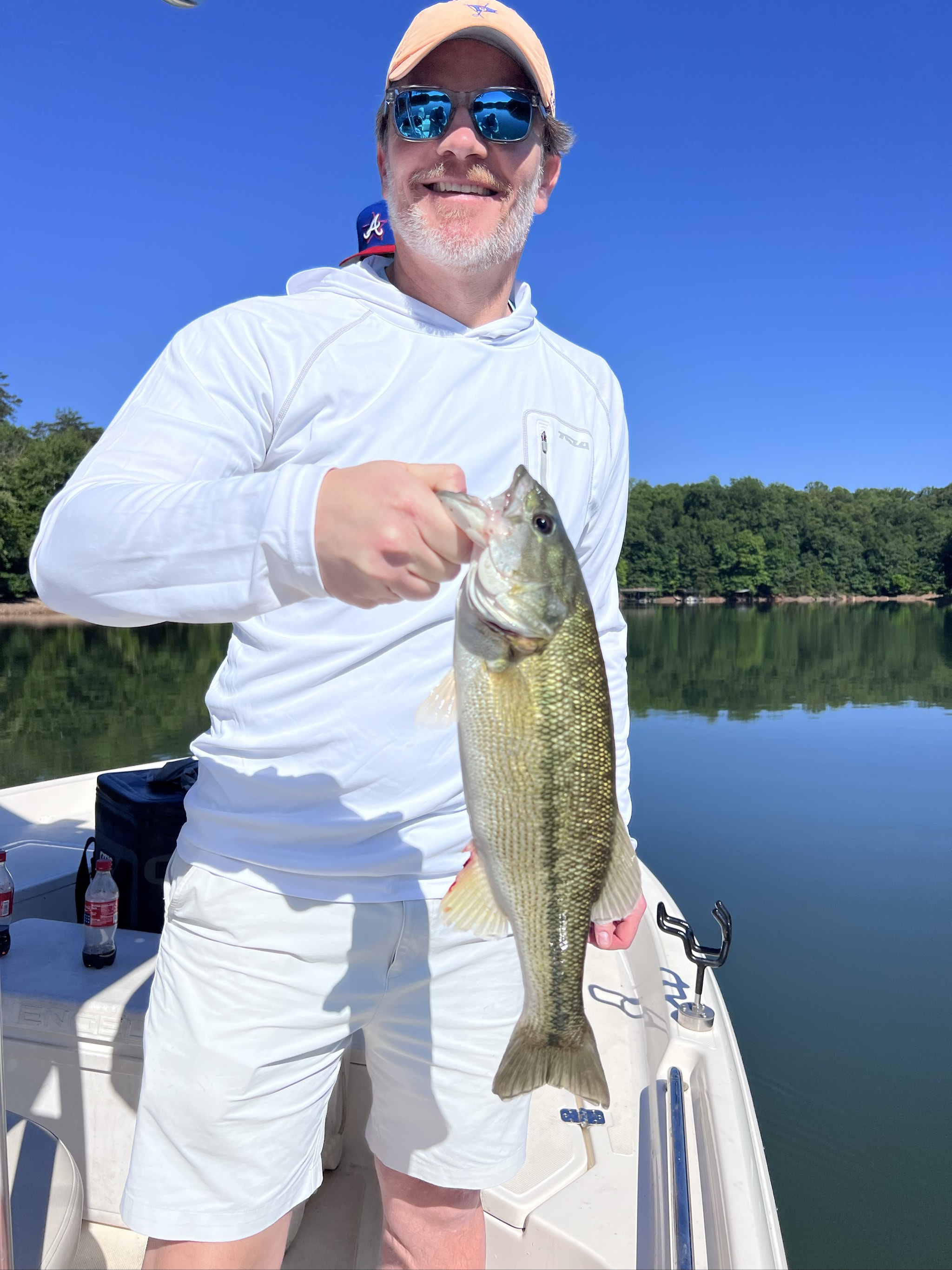 Striped Bass Action On Lake Lanier