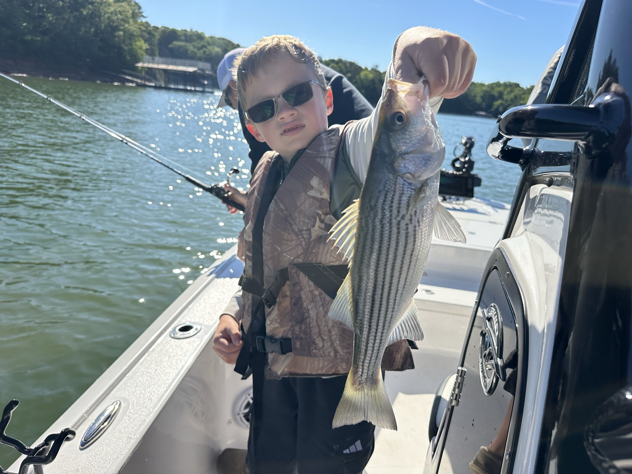 Striped Bass — May 2026