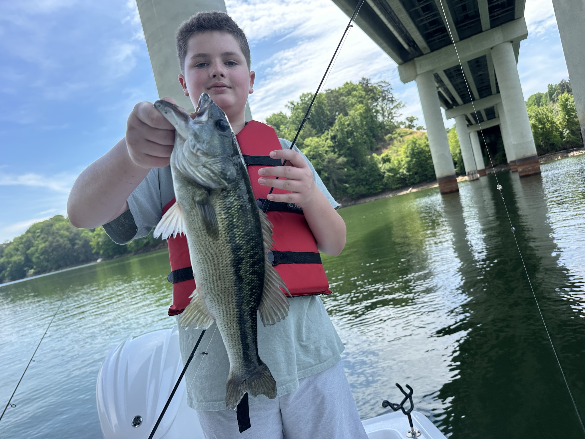 Striped Bass — May 2026