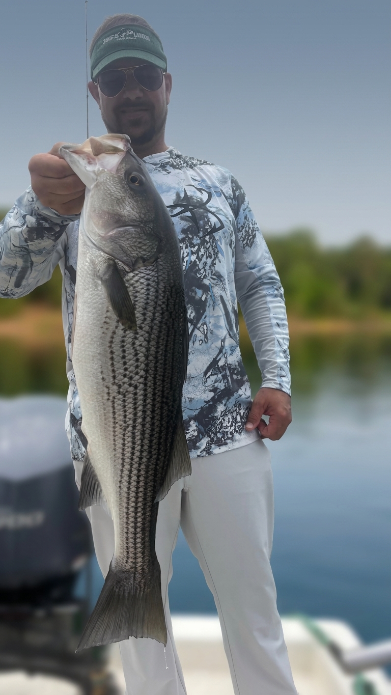 Striped And Spotted Bass On Lake Lanier