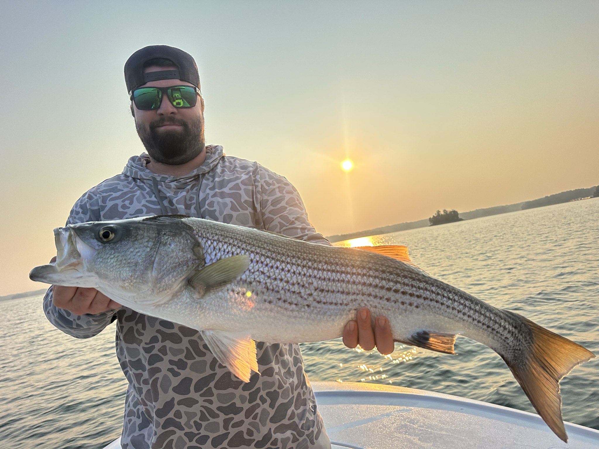 Striped And Spotted Bass Lake Lanier July