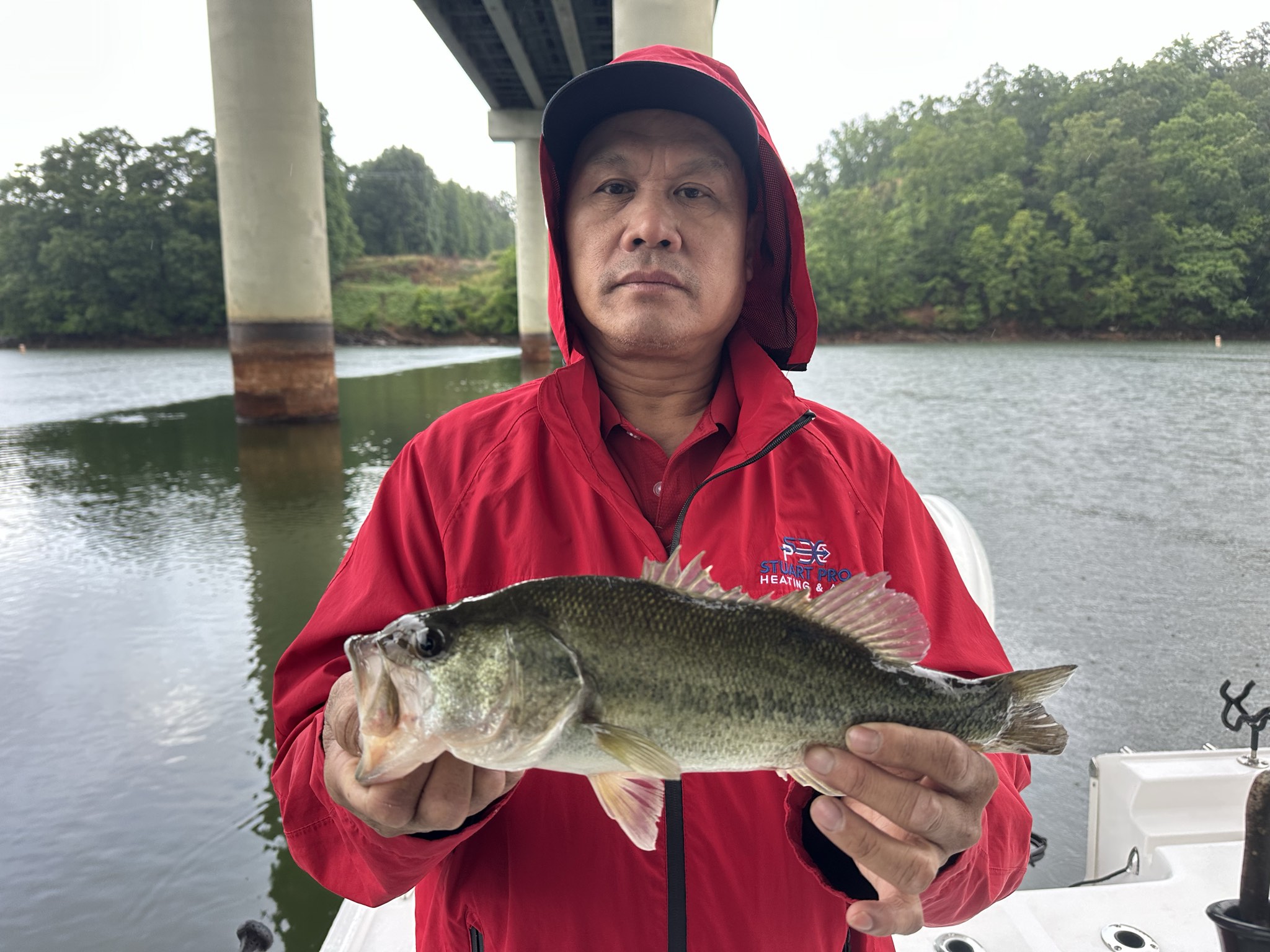 Lake Lanier May Striped Bass Success