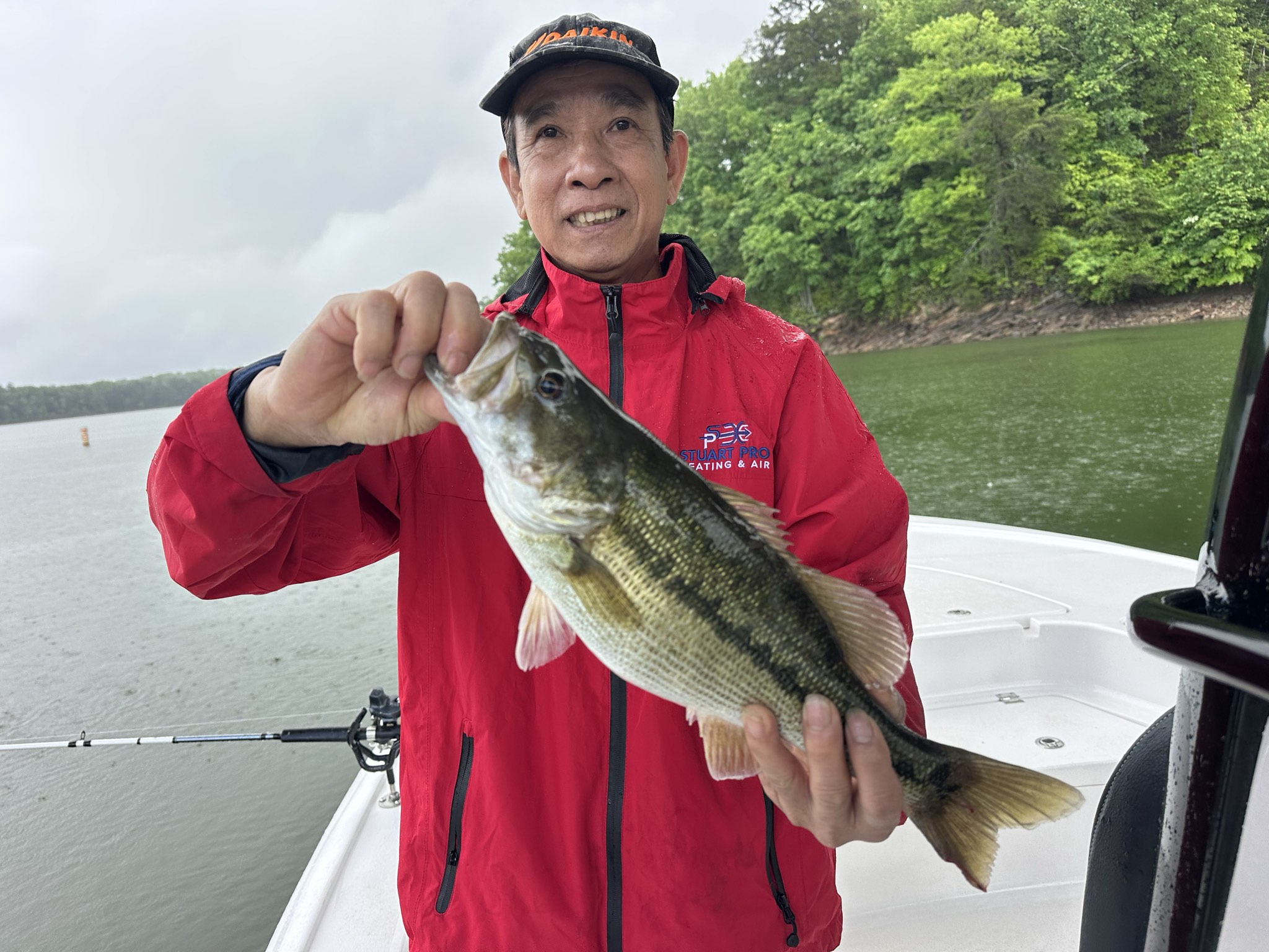 Lake Lanier May Striped Bass Success