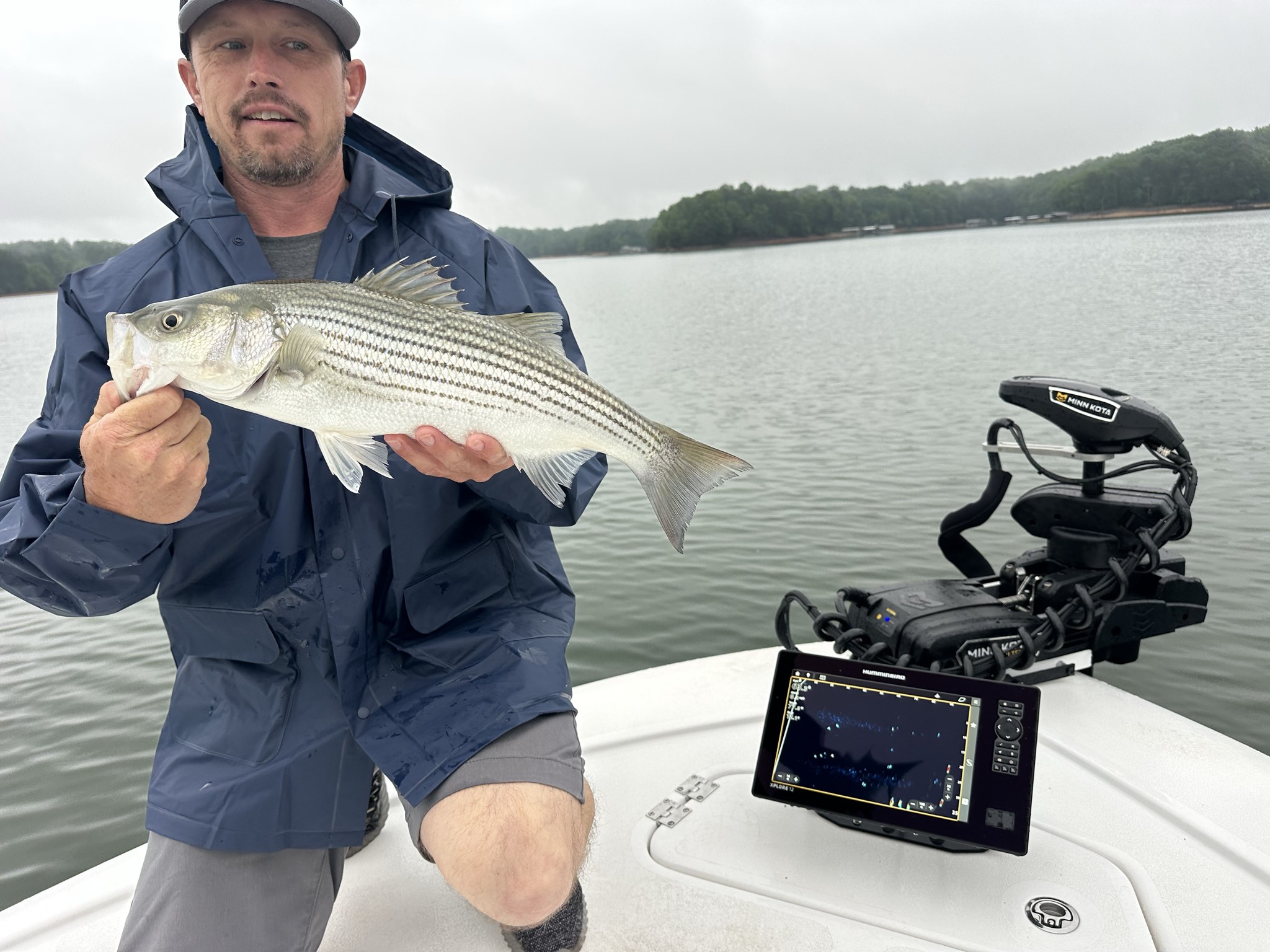 Striped Bass — May 2026