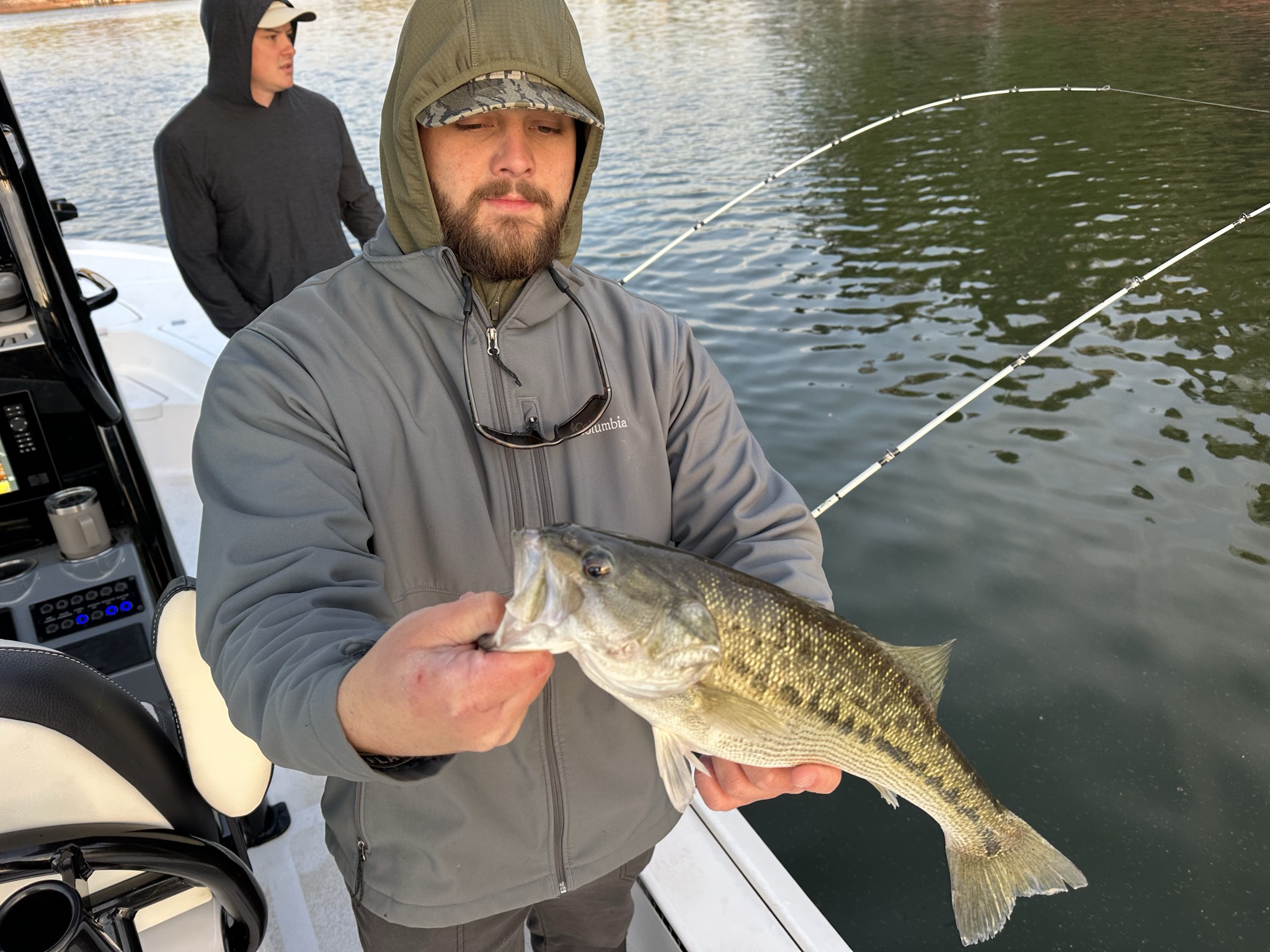 Striped And Spotted Bass Lake Lanier April