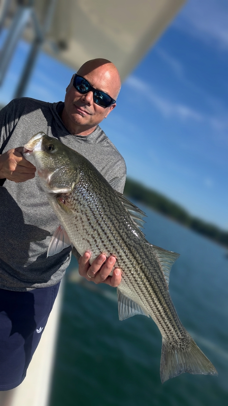 Lake Lanier bass — August 2026