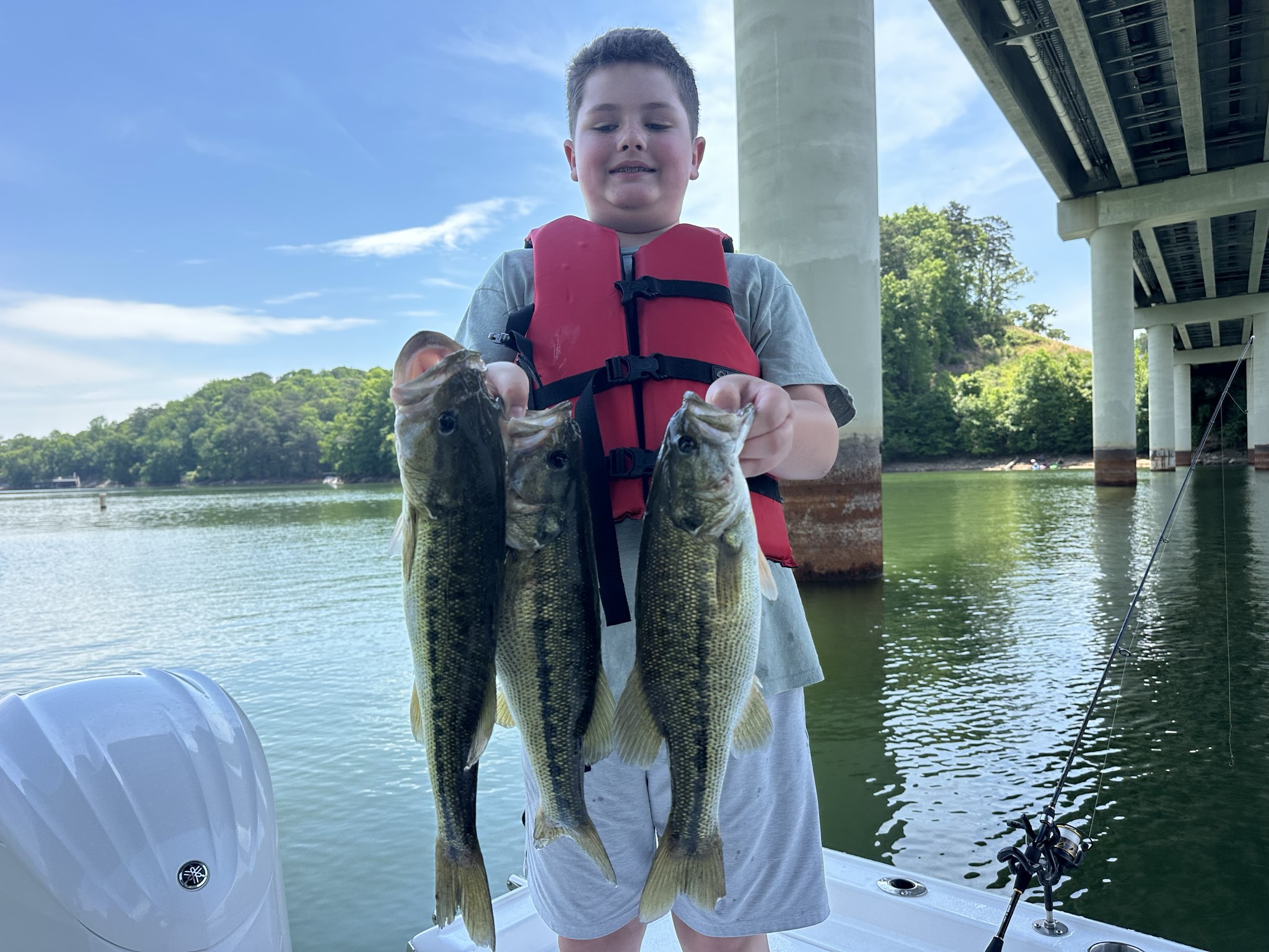 Striped Bass — May 2026
