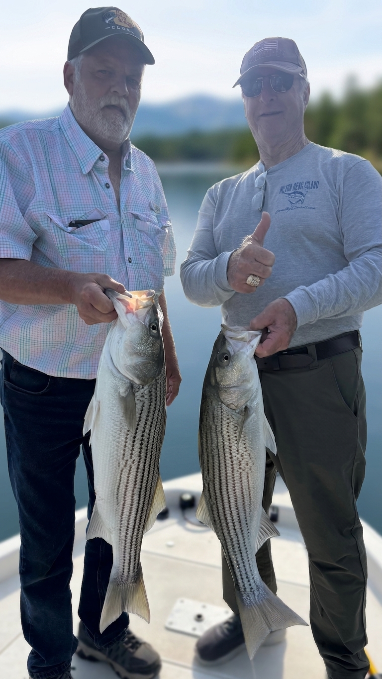 Striped and Spotted Bass Score Lake Lanier