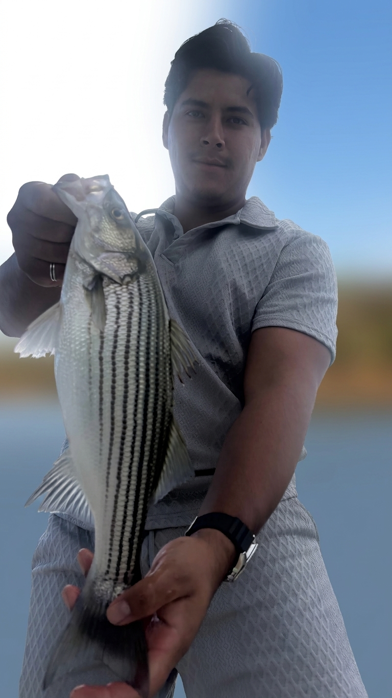Striped bass caught on Lake Lanier, Sept 19, 2026