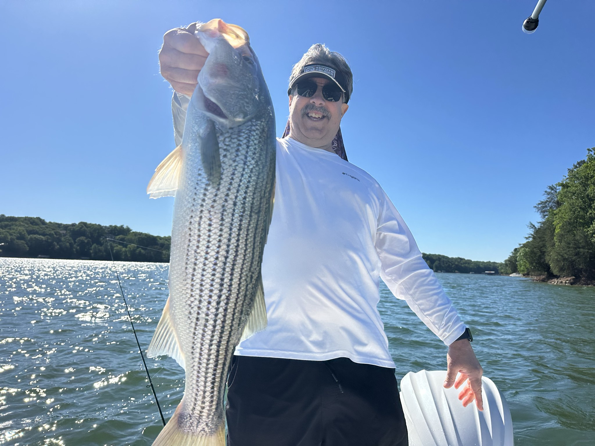 Striped Bass — May 2026