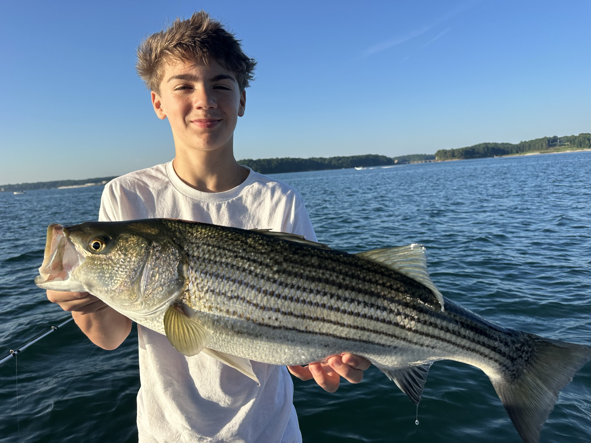 Summer Trophy Bass Action Lake Lanier
