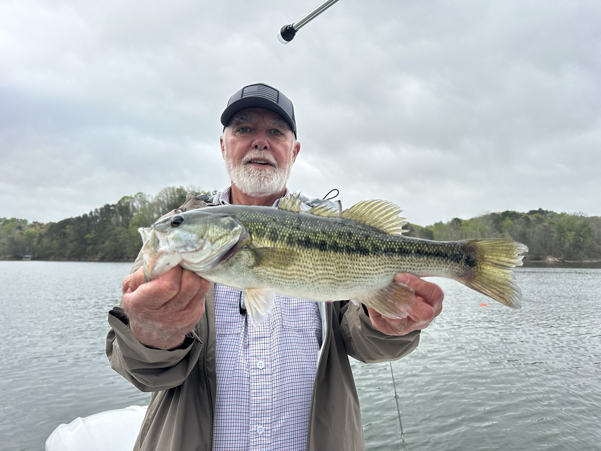 Striped Bass — April 2026