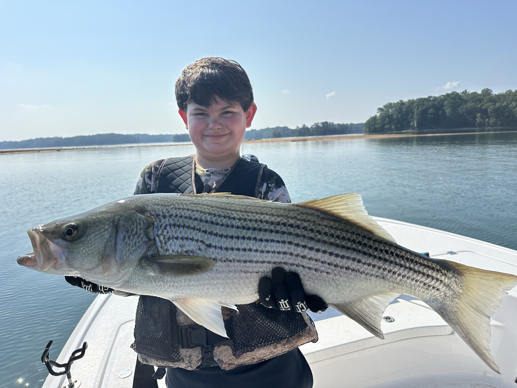 Summer Stripers And Spotted Bass Lake Lanier