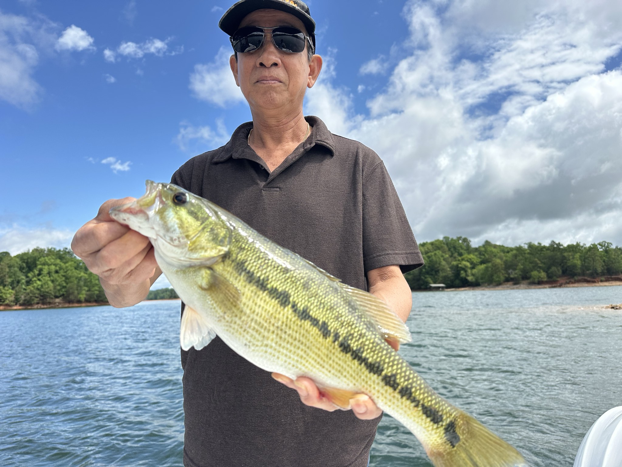 Lake Lanier May Striped Bass Success