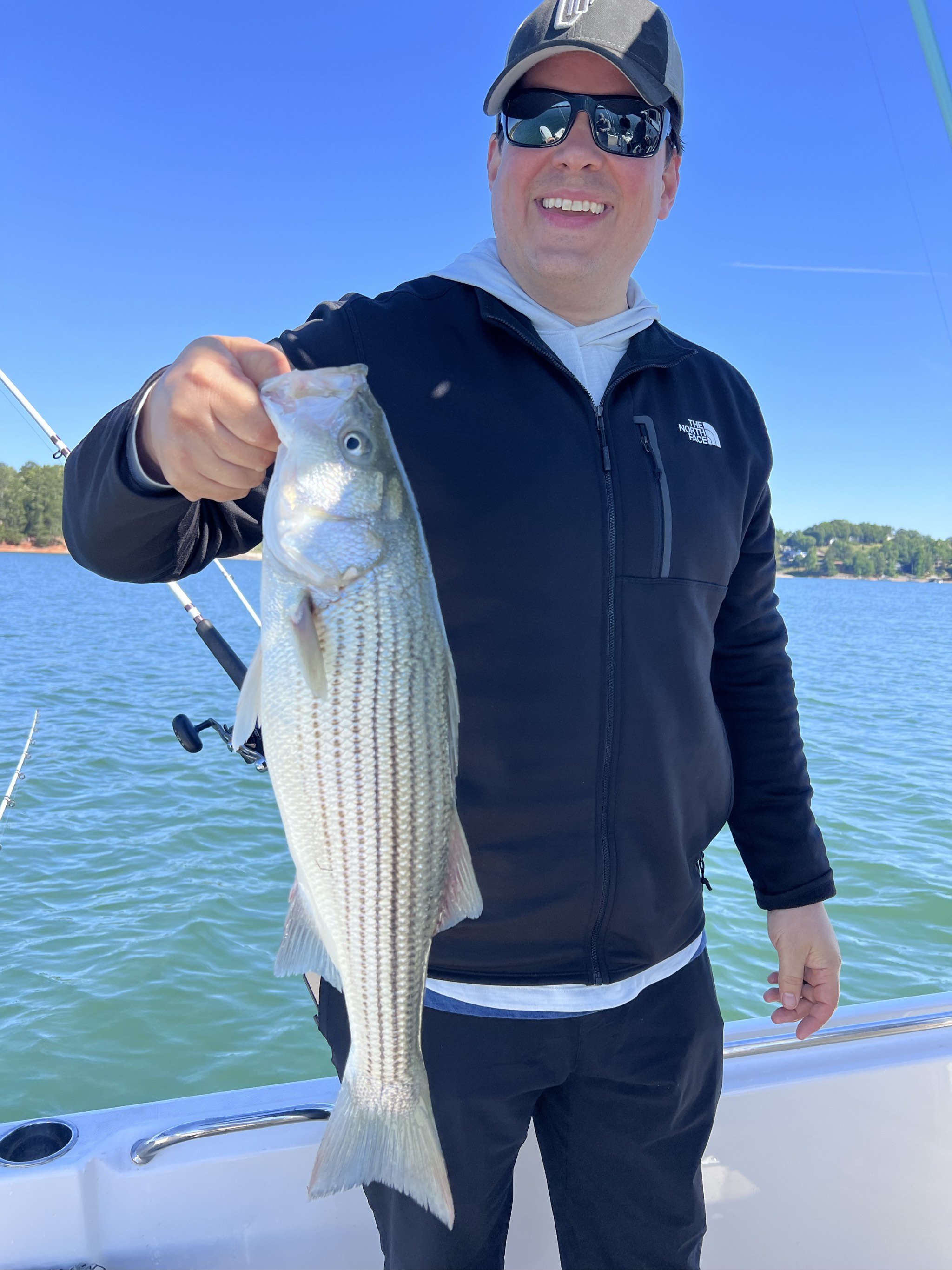 Spotted And Striped Bass On Lake Lanier
