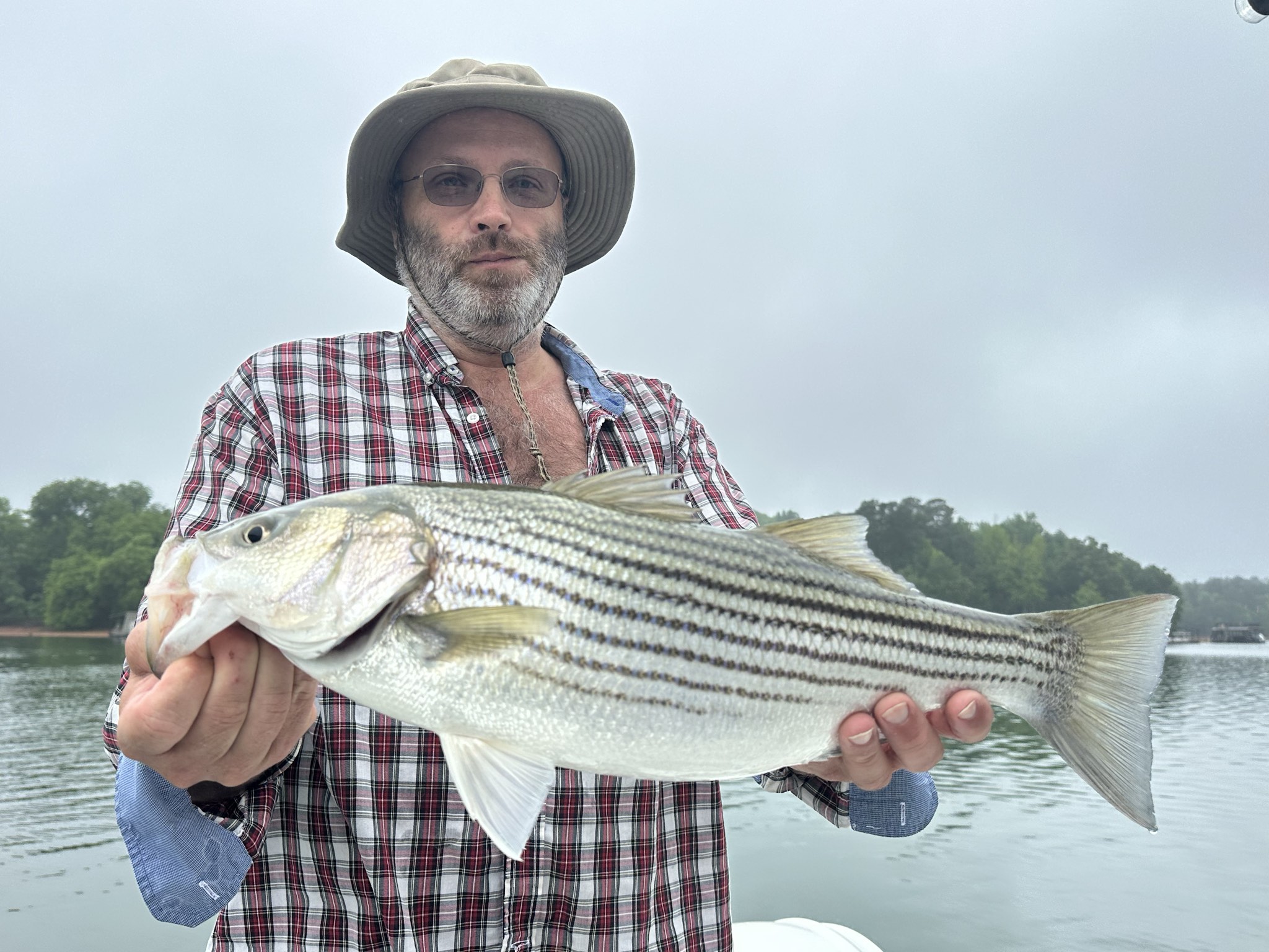 Striped Bass And Spotted Bass Action On Lake Lanier