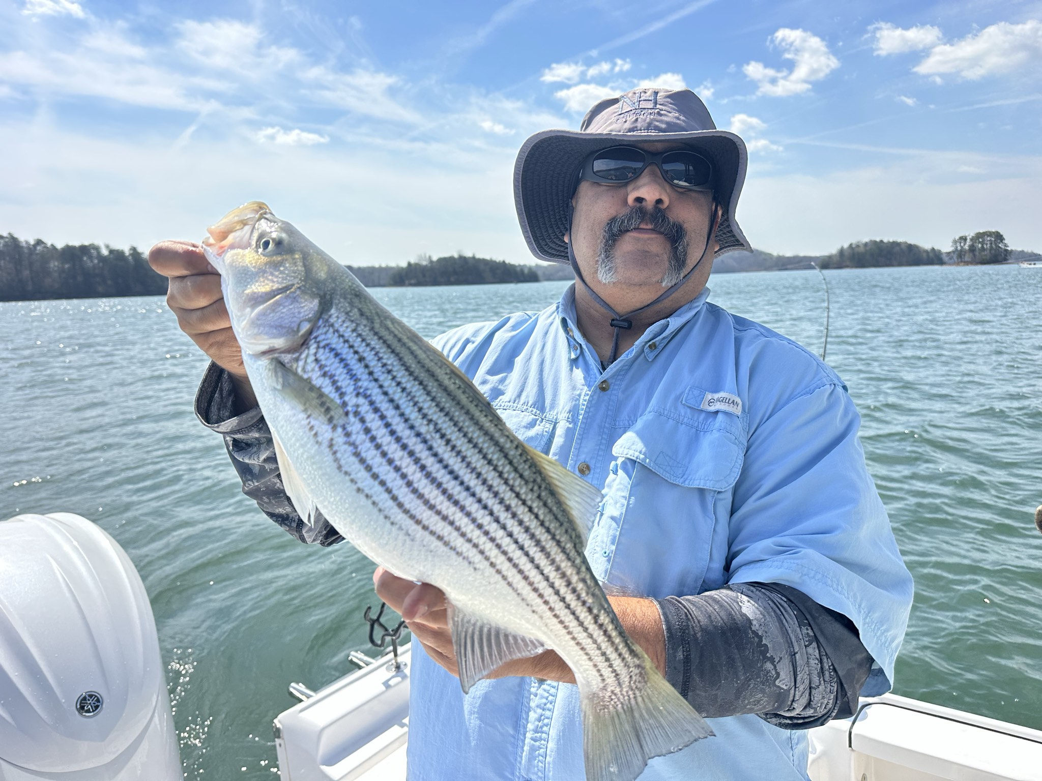 Spring Striped and Spotted Bass on Lake Lanier