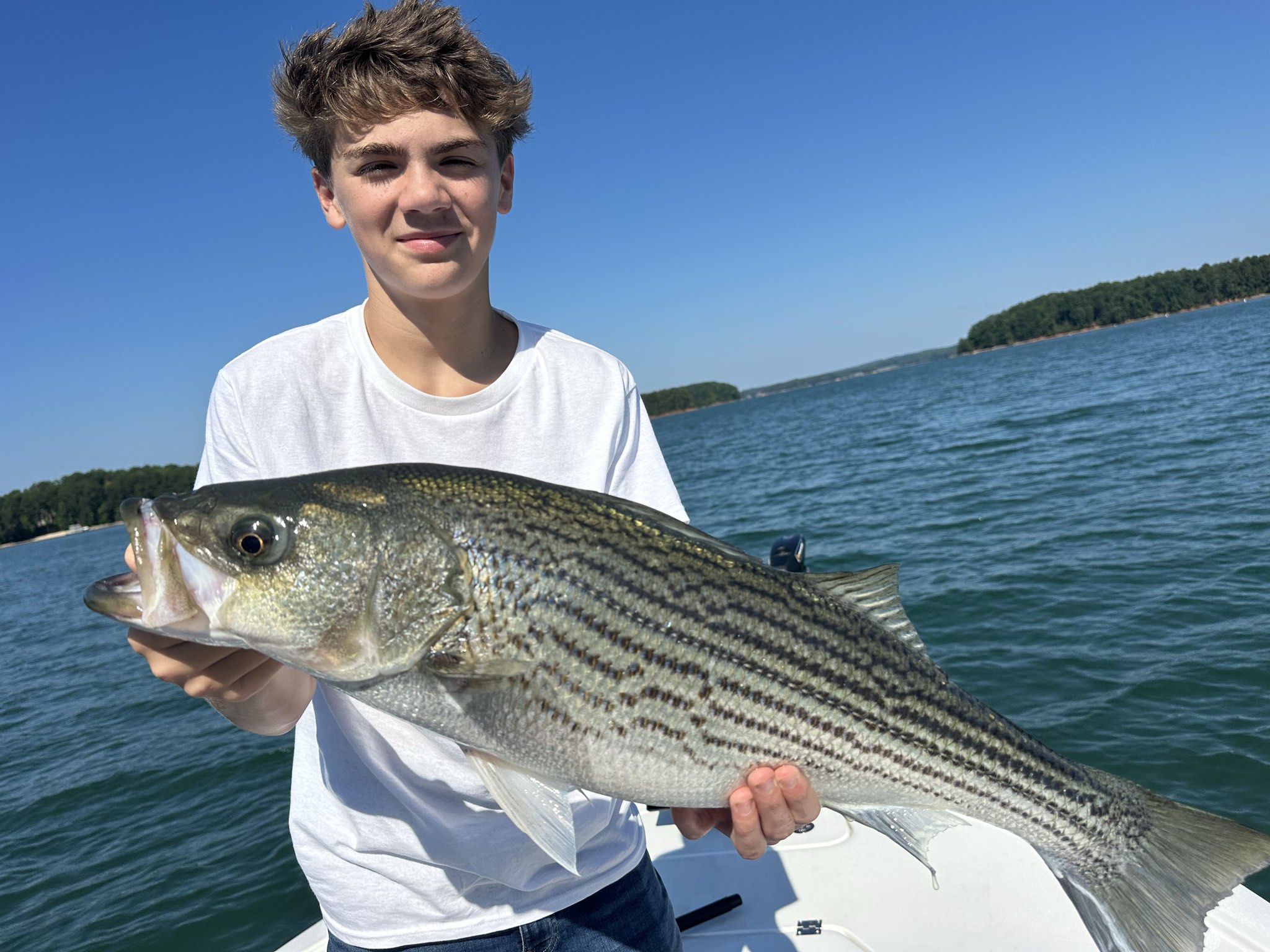 Summer Trophy Bass Action Lake Lanier