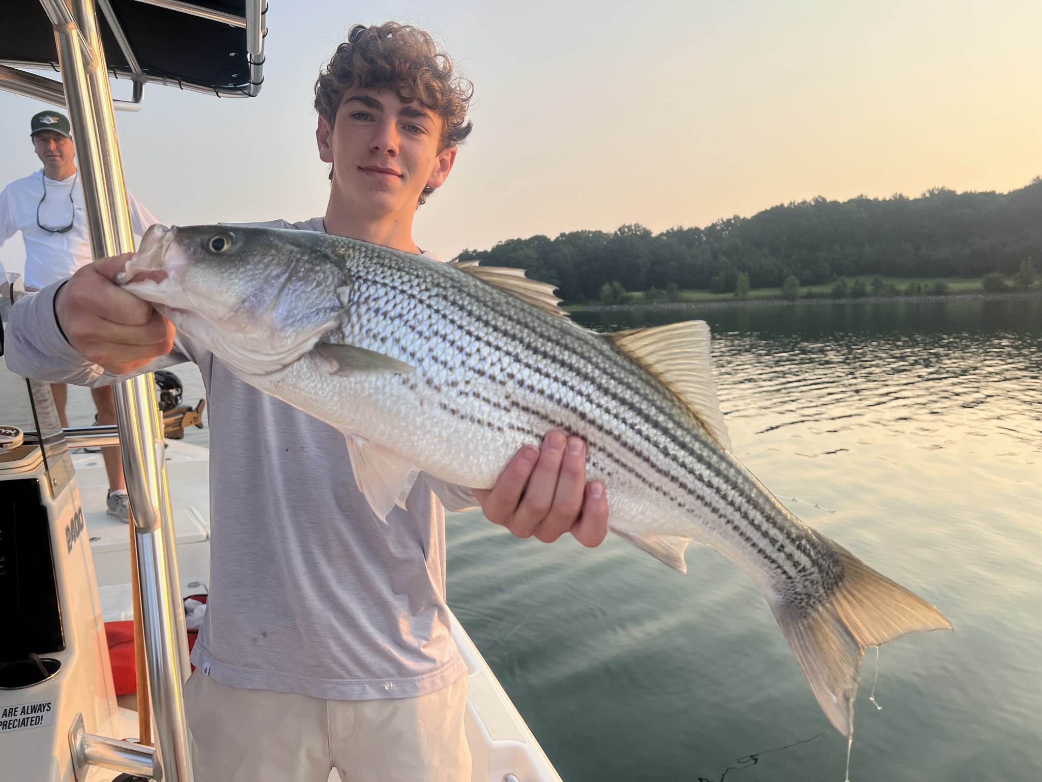 Striped Bass And Spotted Bass Lake Lanier
