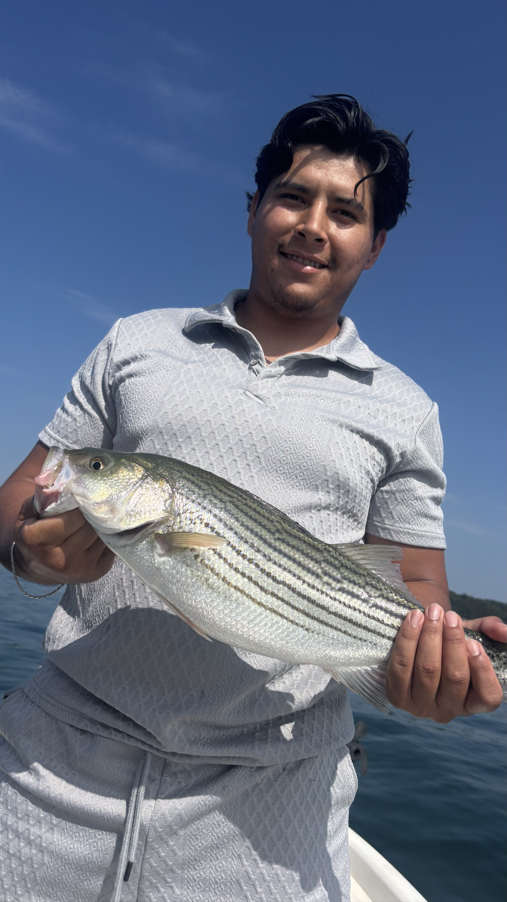 Striped Bass And Gar Action Lake Lanier