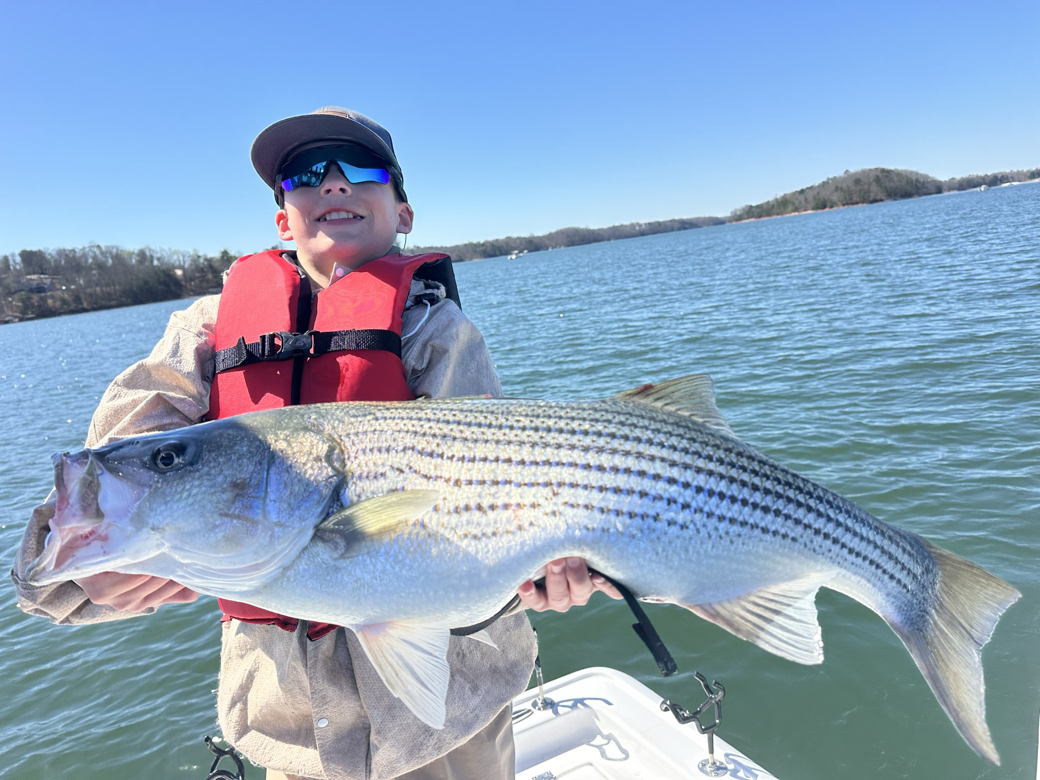Striped Bass — March 2026