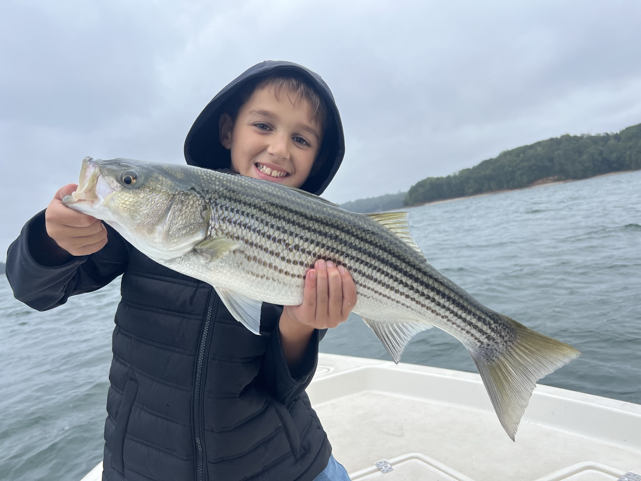 Striped bass caught on Lake Lanier, Oct 11, 2026