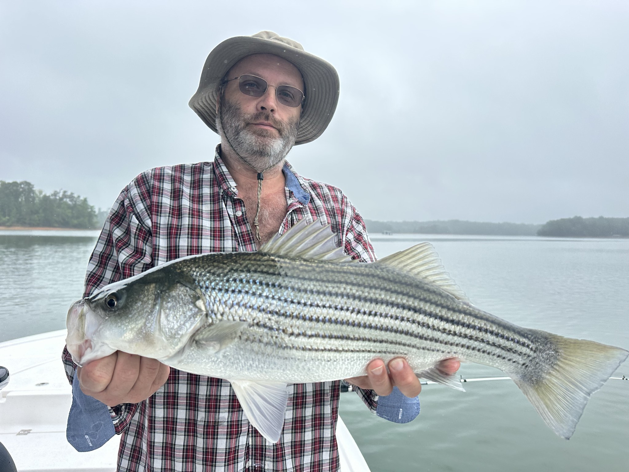 Striped Bass And Spotted Bass Action On Lake Lanier