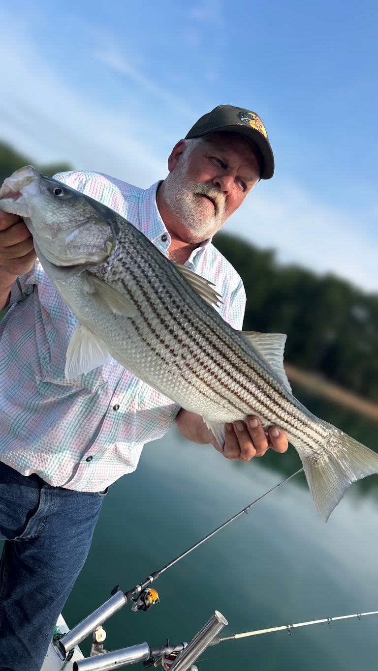 Striped and Spotted Bass Score Lake Lanier