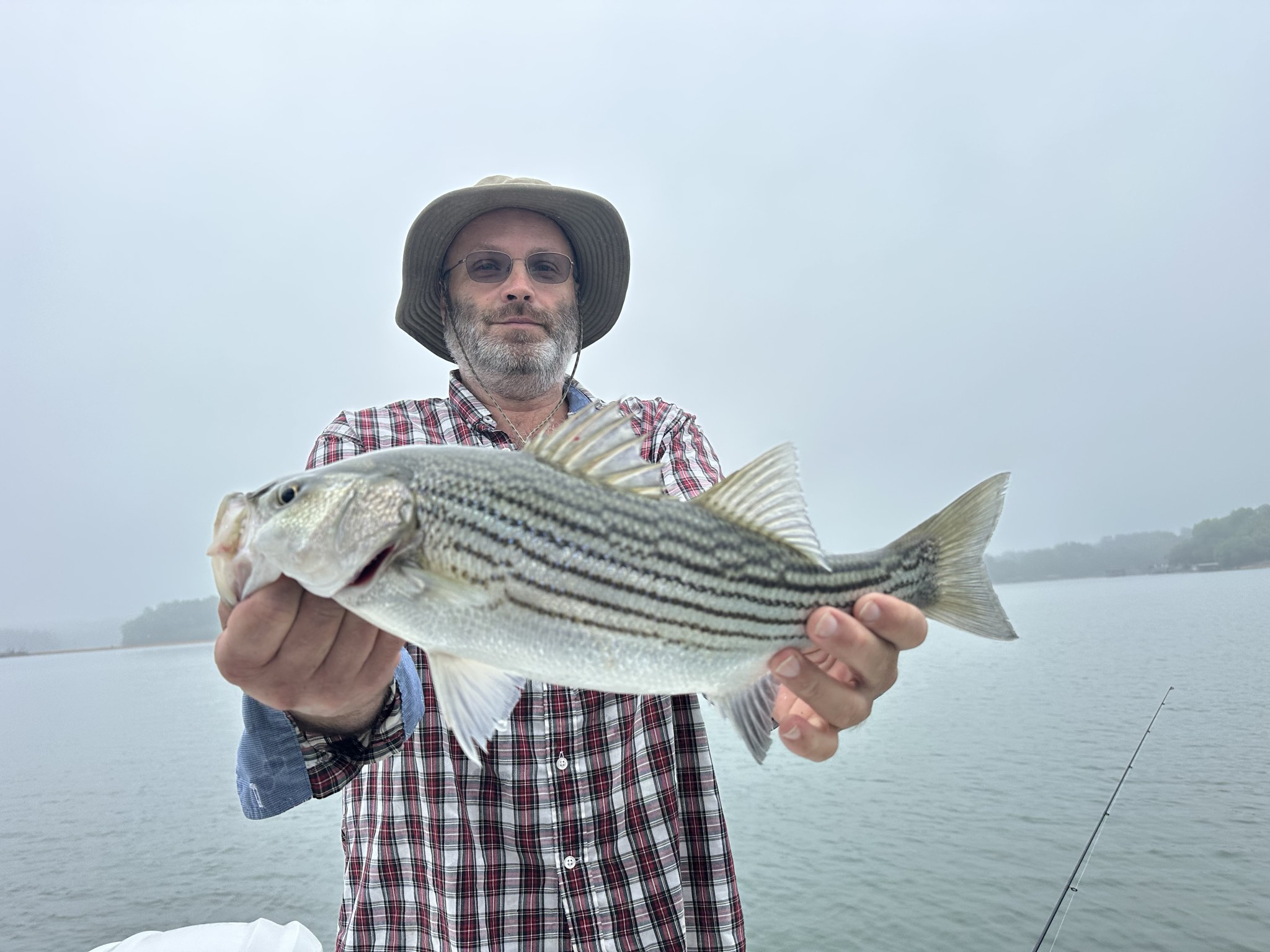 Striped Bass And Spotted Bass Action On Lake Lanier