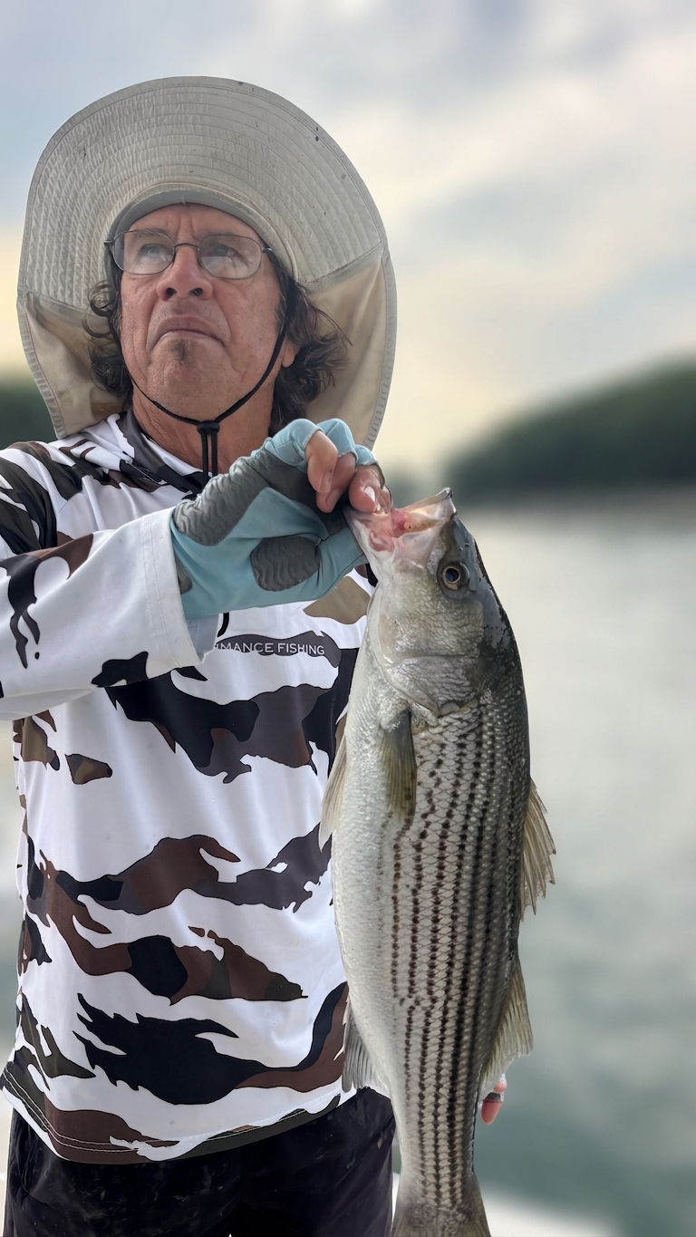 Striped And Spotted Bass On Lake Lanier